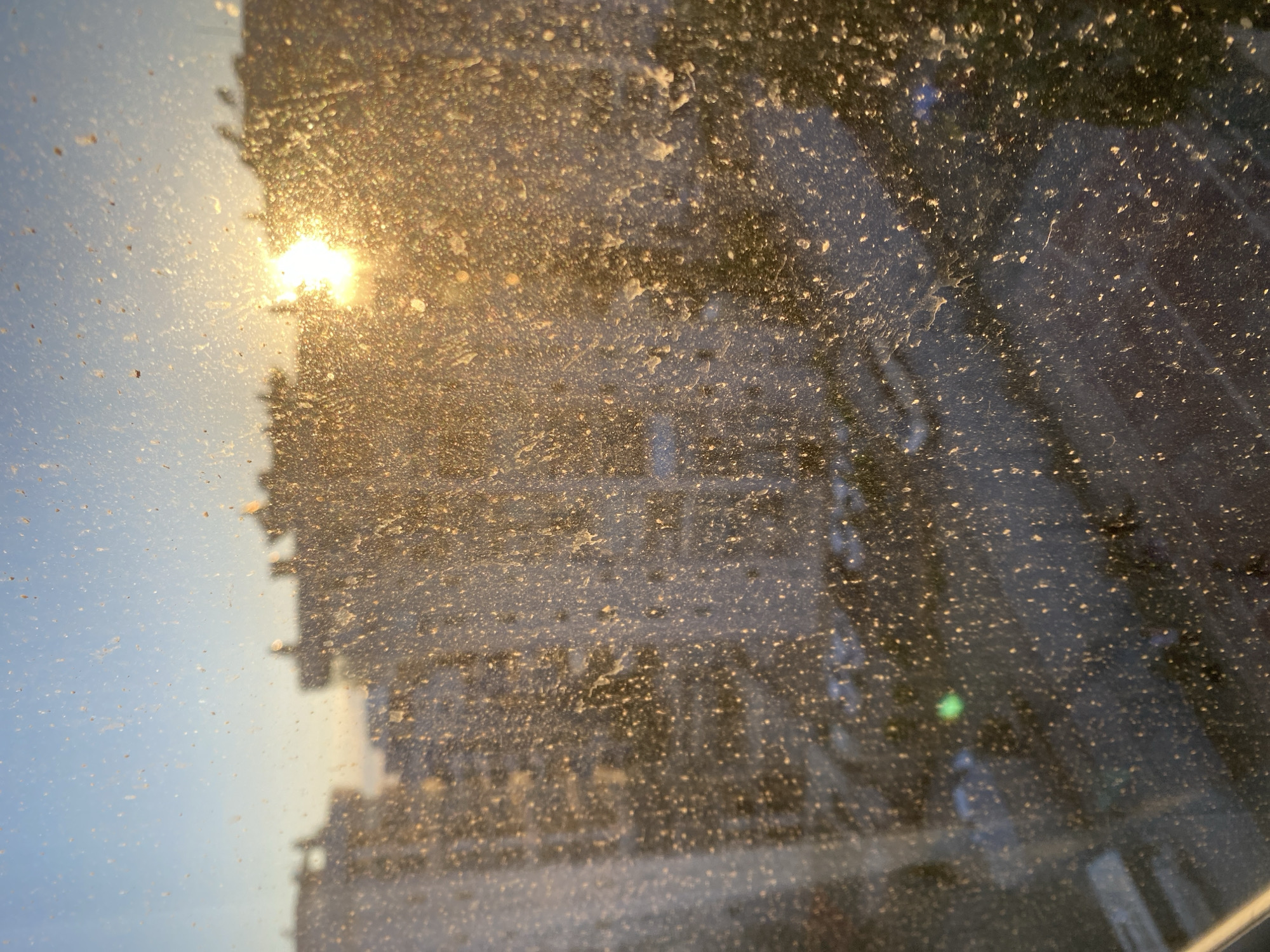 The image appears to be taken through a dirty window, looking out onto a cityscape in Alanya, Turkey. The sun is visible, creating a glare and obscuring details of the buildings. The window's dirt and grime are prominent, with numerous spots and streaks scattered across the surface. The buildings are silhouetted against the bright sky, making it difficult to discern their exact features or architectural style. Overall, the scene lacks clarity due to the obscured view and strong lighting.