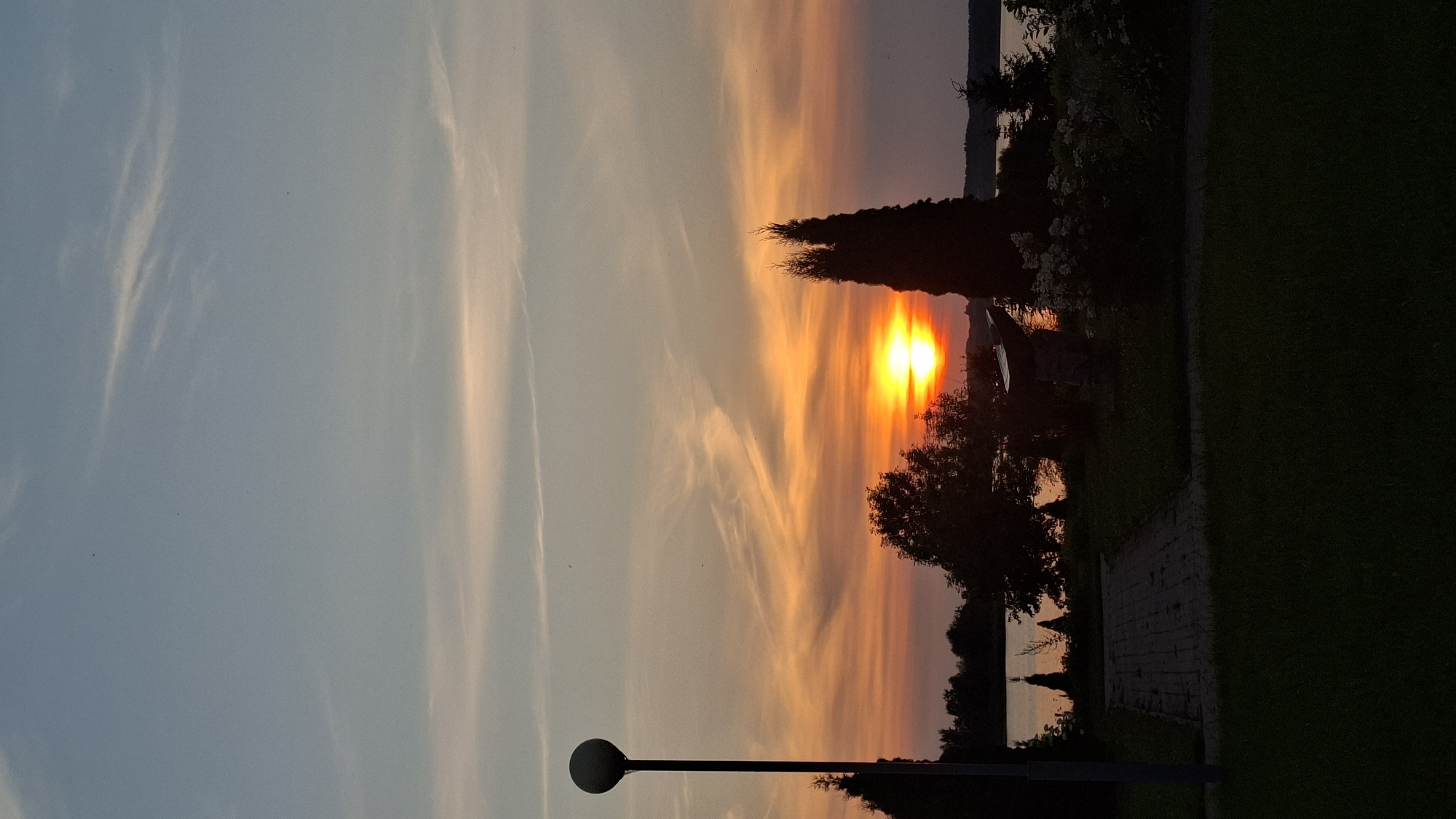 This vertical, full-frame, eye-level shot captures a scenic sunset over a body of water, likely a lake, in Myadzyel, Belarus. The sky transitions from a pale blue at the top to vibrant oranges and yellows near the horizon, with wispy clouds streaking across. The sun, a bright orange orb, is low in the sky, just above the treeline.
In the foreground, a pathway made of dark pavers leads into the scene from the lower left. To the left of the path is a tall, dark lamppost with a spherical light fixture. The ground is covered in dark green grass.
Silhouetted against the sunset are various trees, including a tall, conical evergreen on the right. To the left of the pathway, a few smaller trees are visible, and further back, a thin church spire can be discerned. In the middle ground, a dark, sculptural object with a somewhat modern, abstract design stands near a cluster of white flowers. The water reflects the colors of the sky, with a darker silhouette of trees along the opposite bank. The overall atmosphere is peaceful and serene, characteristic of a sunset scene in a natural or park-like setting.