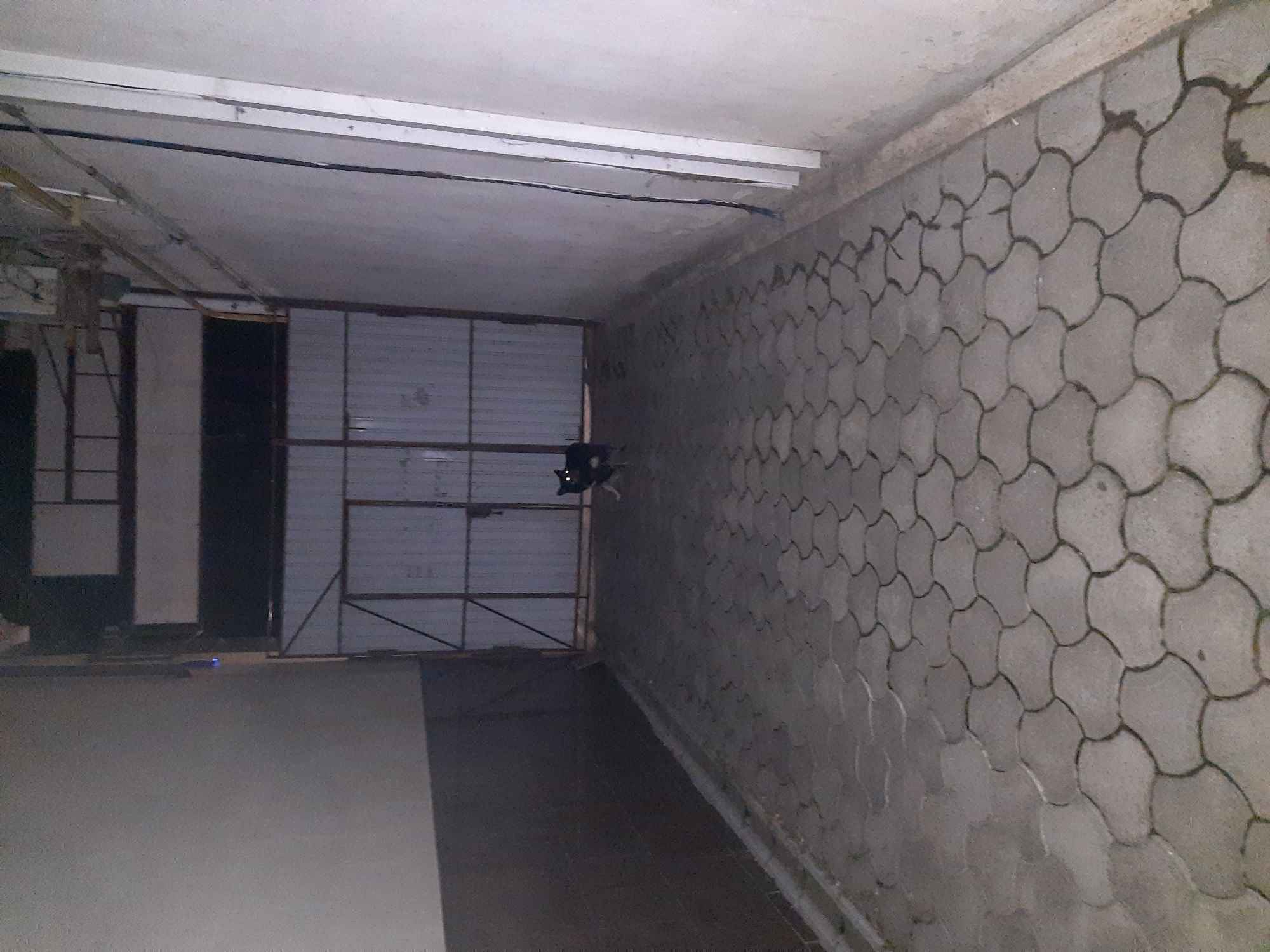 The image depicts a dimly lit alleyway paved with interlocking hexagonal stones. On the right, a light-colored wall runs parallel to the alley. On the left, a darker wall forms the other boundary. At the end of the alley, a large metal gate is visible. A medium-sized black and brown dog with reflective eyes stands in the middle of the alley, facing the camera. The setting appears to be an outdoor area, possibly a backyard or service alley, in the city of Mykolaiv, Ukraine, given the context provided. The lighting suggests it is nighttime or a very dark day.