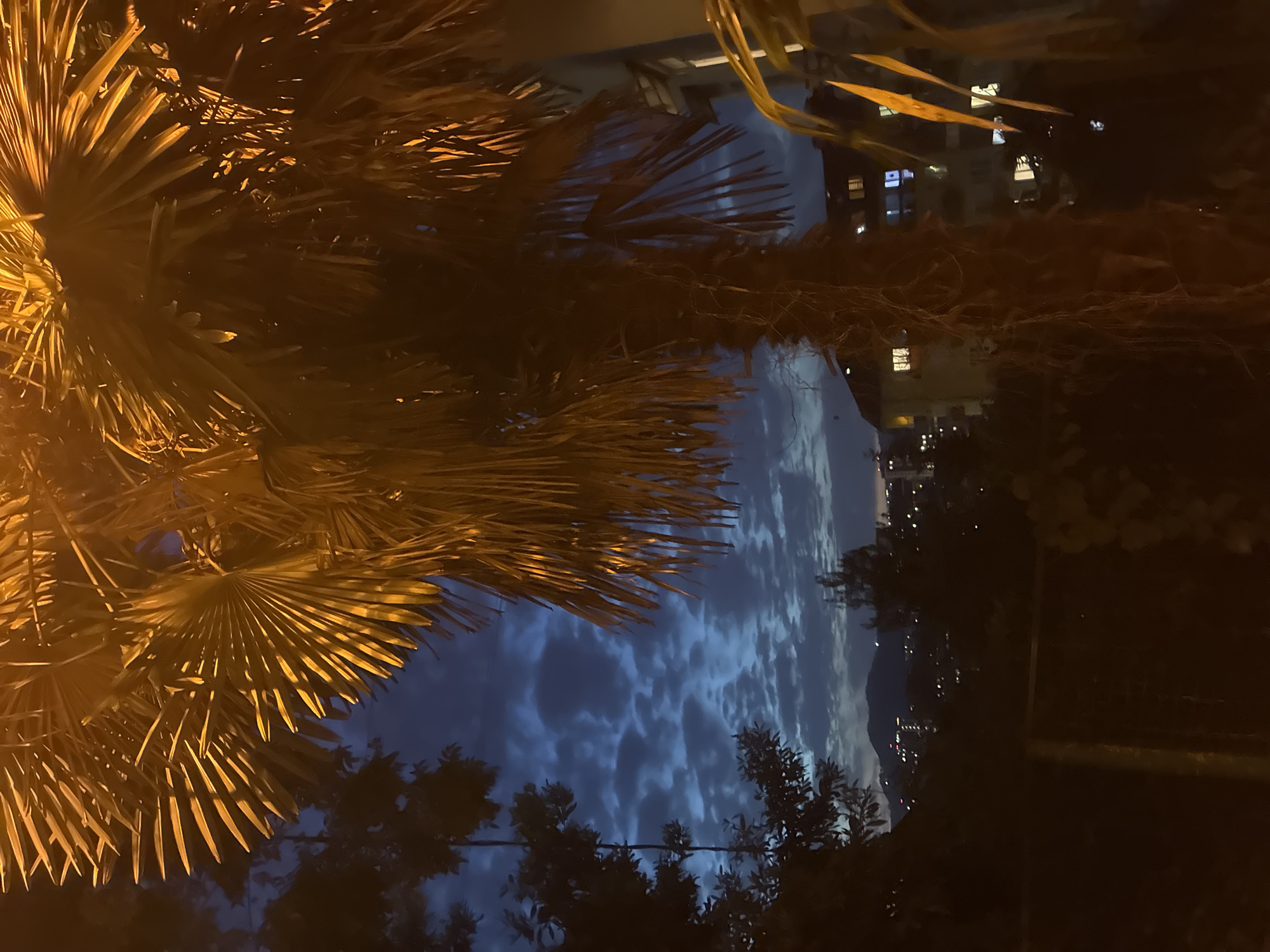 The image depicts a twilight scene with a palm tree in the foreground, illuminated by artificial light, creating a warm orange glow on its fronds. In the background, a city skyline is visible with lights twinkling amongst buildings, possibly in Sochi, Russia. The sky is a deep blue, dotted with scattered clouds, and a distant mountain range can be seen. The overall atmosphere is serene and suggestive of an urban evening.