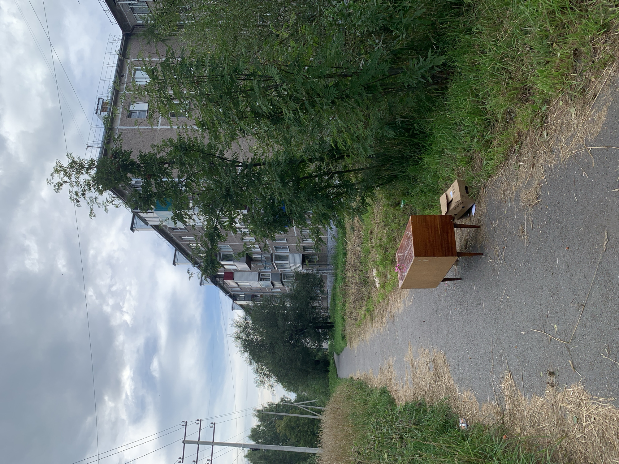 An outdoor, medium-shot, eye-level, full-color, vertical photograph captures a paved path alongside a grassy area with a residential building in Prokopyevsk, Russia. The path is narrow, with dry grass and leaves scattered on its surface. To the left of the path, tall dry grass and weeds grow. To the right of the path, a wooden cabinet with four legs stands on the pavement. Next to the cabinet, a cardboard box lies on the grass. The residential building, a multi-story structure with a grey facade, is visible behind the grass and trees. The sky above is cloudy and overcast. Power lines and poles are visible on the left side of the image, extending into the distance.