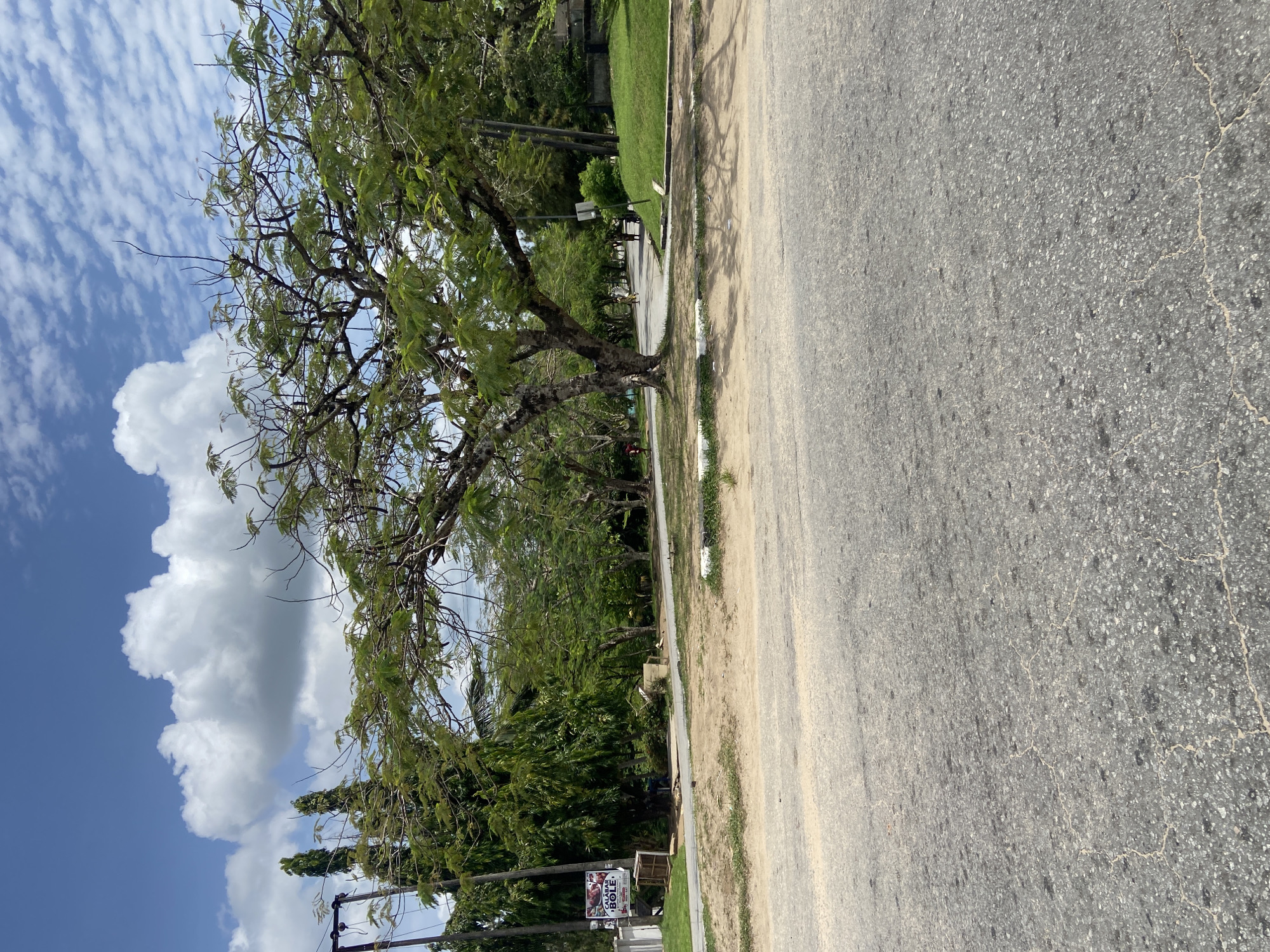 The image shows a street scene in Calabar, Nigeria. On the left, a large tree with green leaves and bare branches stands beside the road. A cloudy blue sky is visible behind the tree. Further down, there are dense bushes and a street sign for 'Taco Bowl'. On the right, the gray asphalt road stretches out. The sidewalk area is between the tree and the asphalt.