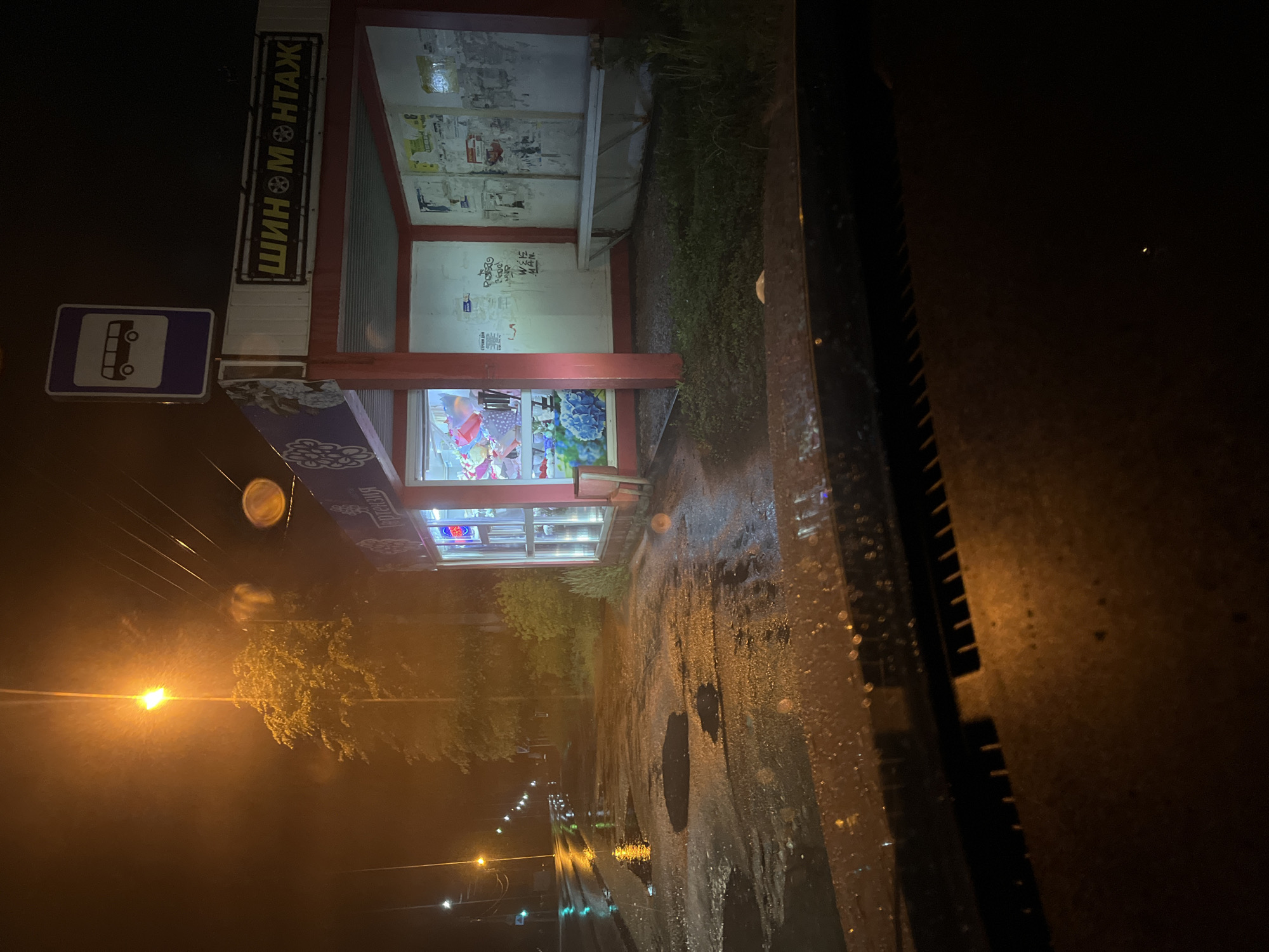 The image depicts a nighttime street scene, likely viewed from the interior of a vehicle, as indicated by a portion of a car's interior visible on the right. The ground is wet and reflective, suggesting recent rainfall, with visible puddles and numerous reflections of artificial light.
A bus stop shelter and an adjacent small commercial kiosk are central to the composition. Above the bus stop shelter, a prominent sign displays the text "ШИНОМОНТАЖ" (SHINOMONTAZH), which means "Tire Fitting" or "Tyre Service." A standard blue and white bus stop sign, featuring a white bus icon, is also clearly visible beneath the main sign. The kiosk itself is brightly lit from within, showcasing various items or advertisements through its windows, though the specific details are indistinct.
In the background and extending along the street to the left, several streetlights cast a warm, orange glow, illuminating the wet road and surrounding trees. Reflections of these lights create elongated streaks on the damp asphalt. The scene conveys a quiet, damp urban or semi-urban environment during the night. The image is oriented sideways, appearing as if rotated 90 degrees counter-clockwise from its original capture.