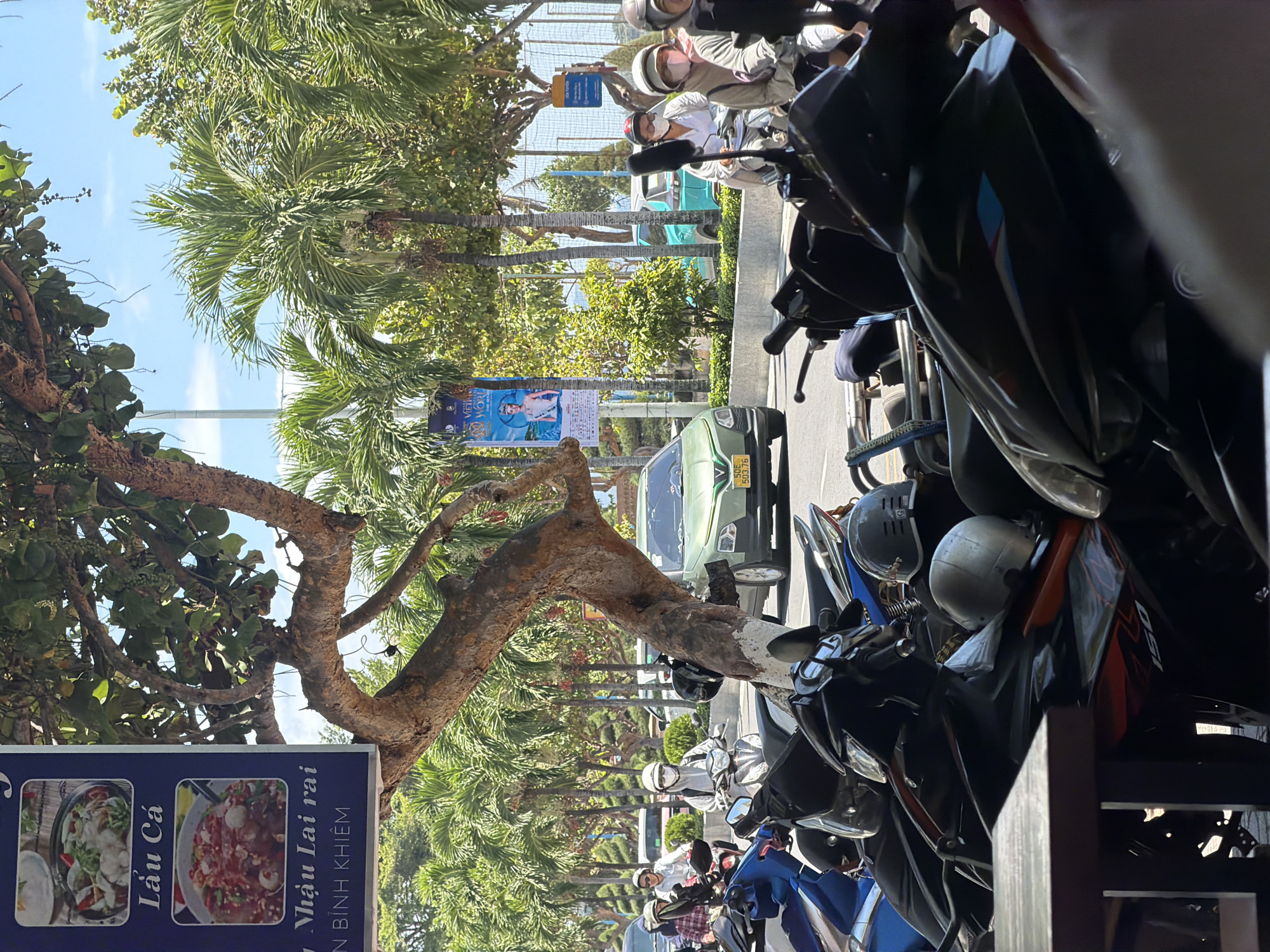 The image captures a street scene in Nha Trang, Vietnam, on a sunny day. In the foreground, several parked motorcycles are visible, some with helmets placed on them. A wooden table is partially visible on the left. Behind the motorcycles, a large tree with a thick trunk and branches dominates the middle ground, its leaves casting shadows. Beyond the tree, a green car is driving on the road, with its license plate reading "50E 503.76". Other vehicles and pedestrians are also present in the background. Palm trees and other vegetation line the street, creating a tropical atmosphere. A banner advertising "Vietnam World" featuring a beauty pageant contestant is hanging on a pole on the left side of the road. The sky is clear and blue. The scene appears to be a typical street view in a bustling Vietnamese city.