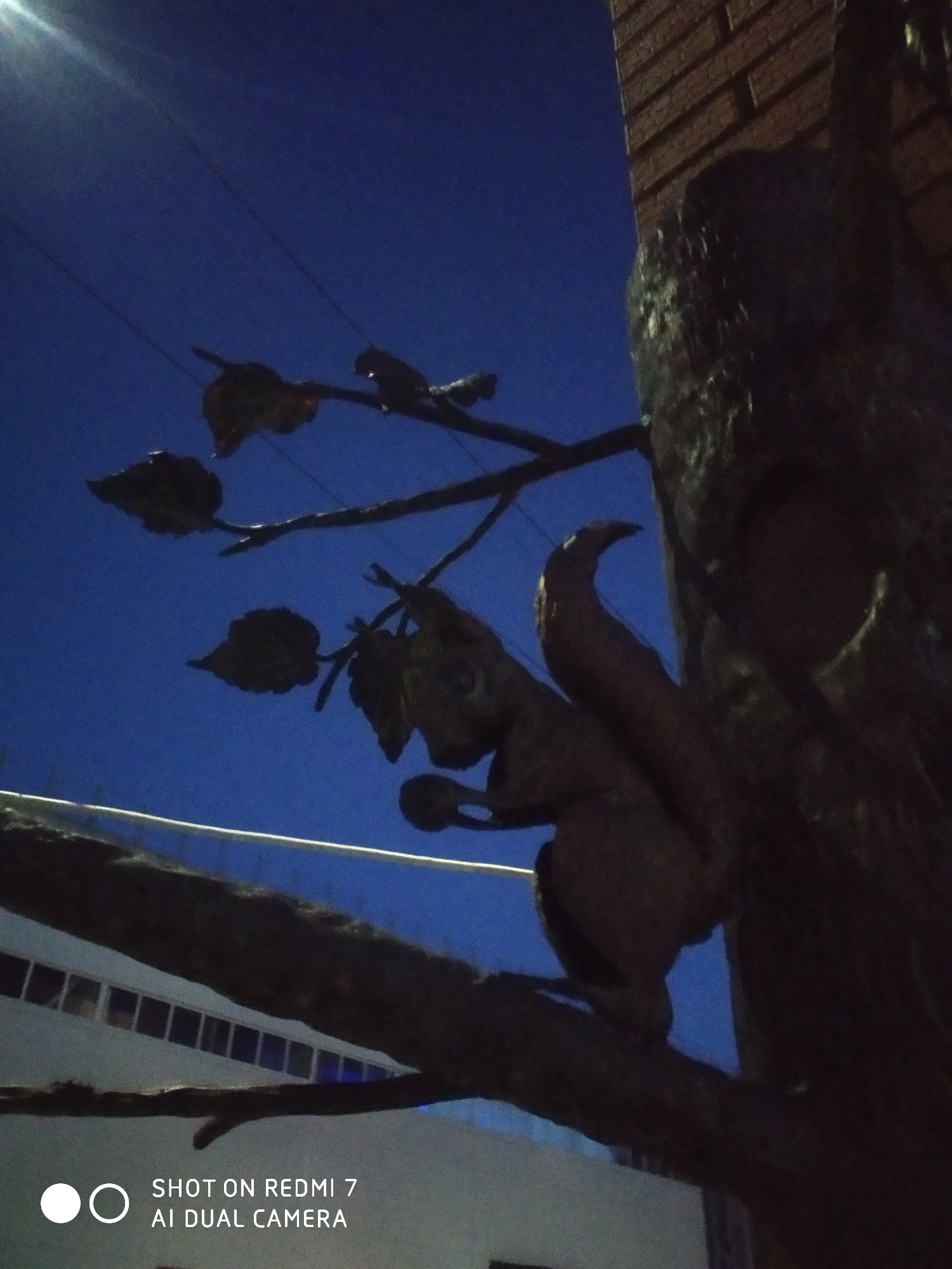 The photo captures a metal sculpture of a squirrel perched on a branch of a stylized metal tree. The tree is located in Chaikovsky, Russia. The sculpture includes leafy branches extending from the main trunk. The background shows a deep blue sky above and a building facade beneath the branches. The photo was taken in low light conditions, possibly at dusk or night.