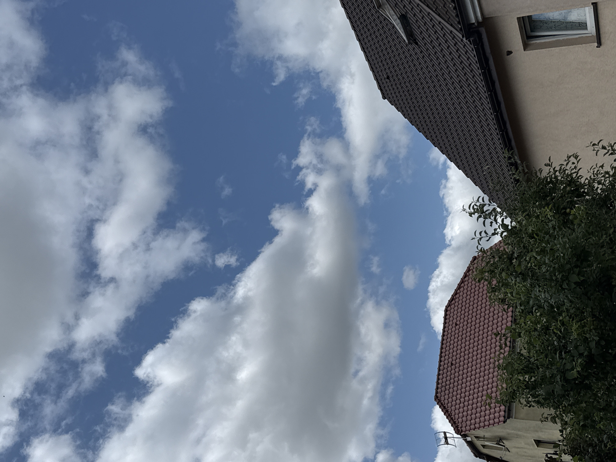 The image shows a view of two houses from a low angle, looking up towards a blue sky filled with white, puffy clouds. The house on the left has a red tiled roof and a pale yellow exterior. A TV antenna is visible on the left side of this house. Lush green foliage obscures the lower portion of this house. The house on the right has a dark grey tiled roof and a beige exterior. A portion of a window with white trim is visible on the right side of this house. The scene is a typical residential area, possibly in Szczecin, Poland, given the architectural style and the clear sky. There are no people or animals visible in the image. The lighting suggests it is daytime, likely late morning or afternoon.
