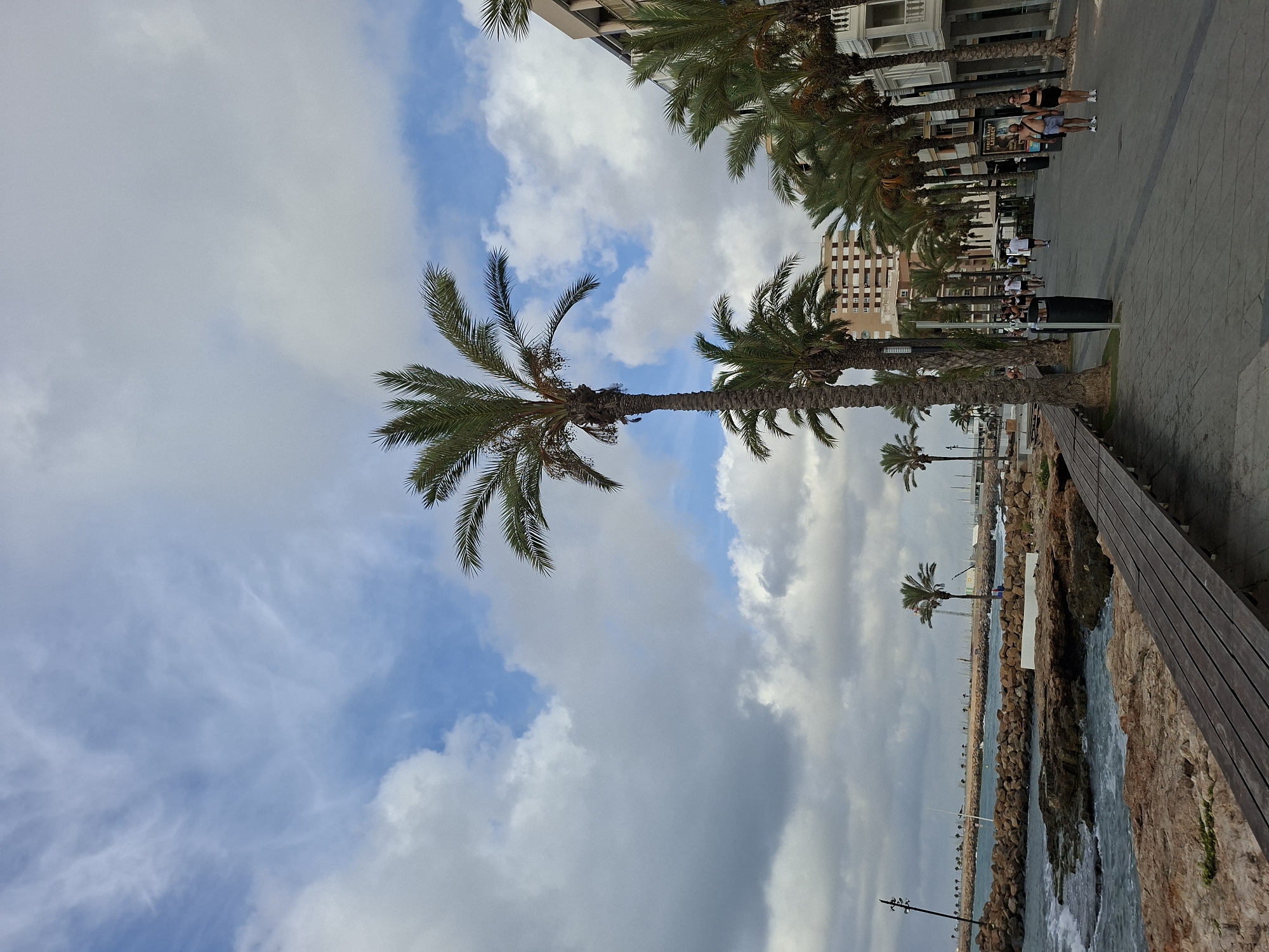 The image depicts a seaside promenade in Torrevieja, Spain, with a focus on a row of palm trees lining a paved walkway. The promenade is situated next to a rocky shoreline where waves are breaking. In the distance, a breakwater structure is visible, with boats moored in the harbor beyond. Buildings, likely apartments or hotels, with balconies and windows, are visible behind the palm trees on the right side of the promenade. Several people are walking on the promenade. A wooden bench is placed on the left side of the promenade, overlooking the sea. The sky is partly cloudy with a mix of blue sky and white and gray clouds.