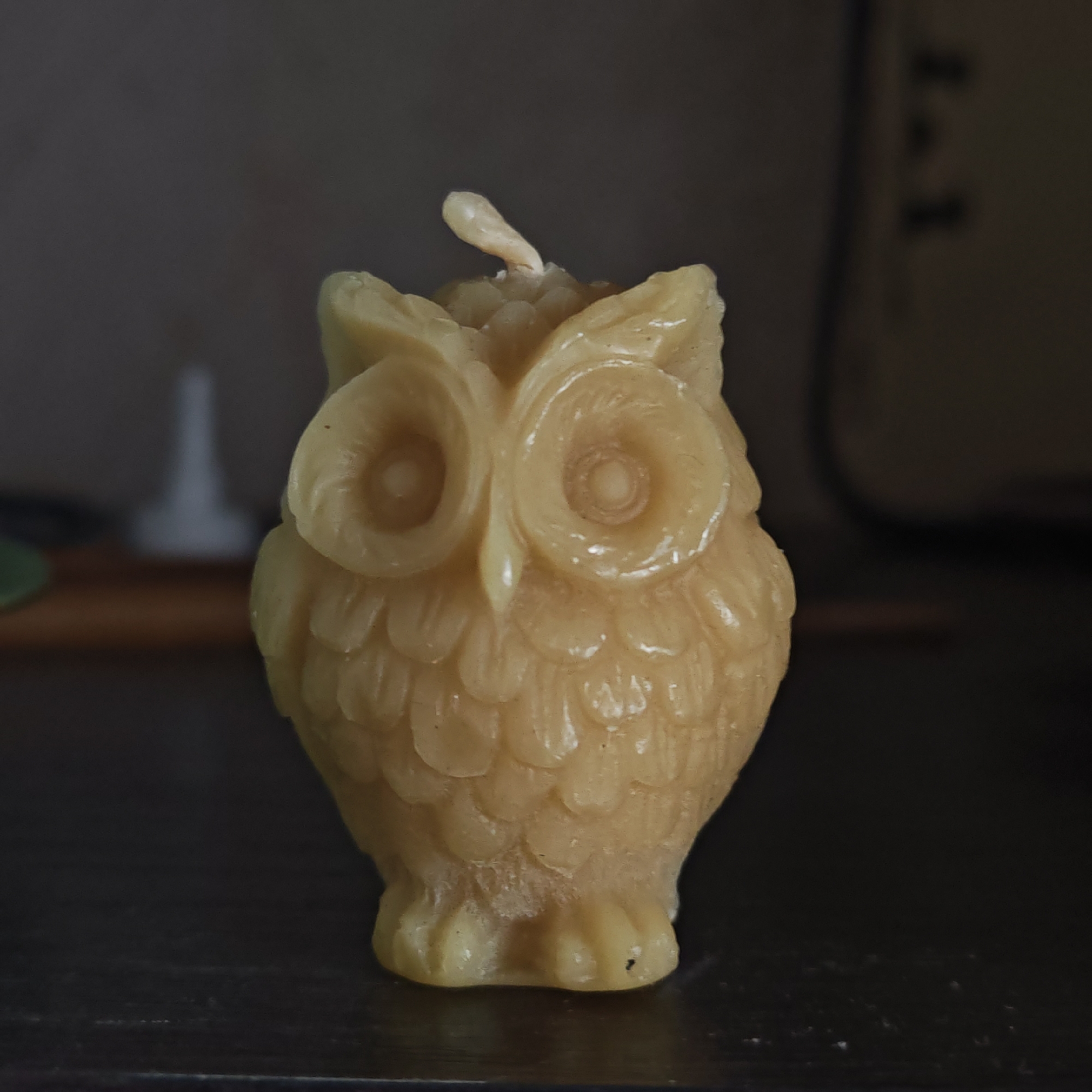 A beeswax candle shaped like an owl sits on a dark wooden surface. The candle is a light yellowish color and has detailed feathers and large eyes. The wick is slightly bent. The background is blurred, but suggests a dark, indoor environment. Rostov, Russia is not identifiable within the image.