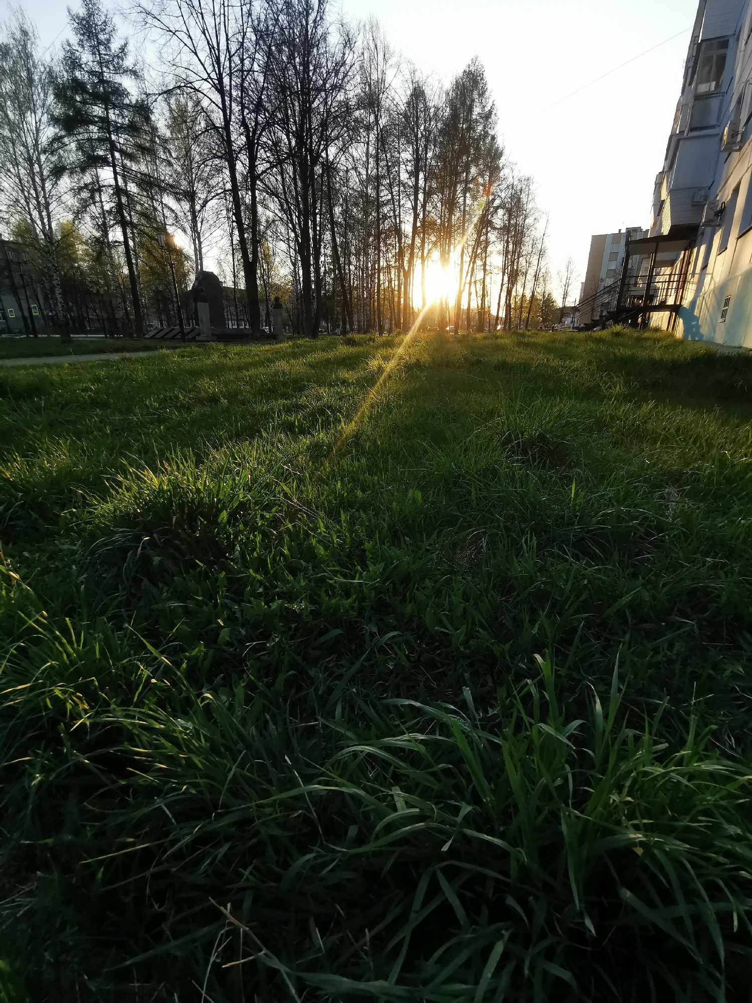 The image shows a grassy area in an urban environment at sunset. The location appears to be a park or green space near residential buildings. The grass is long and dense, with variations in shading due to the angle of the setting sun. Trees line the background, silhouetted against the bright light. A multi-story building is visible on the right side of the frame, suggesting an apartment complex or similar structure. No people or animals are visible in the shot. The overall scene suggests a quiet, peaceful moment in an urban setting.
