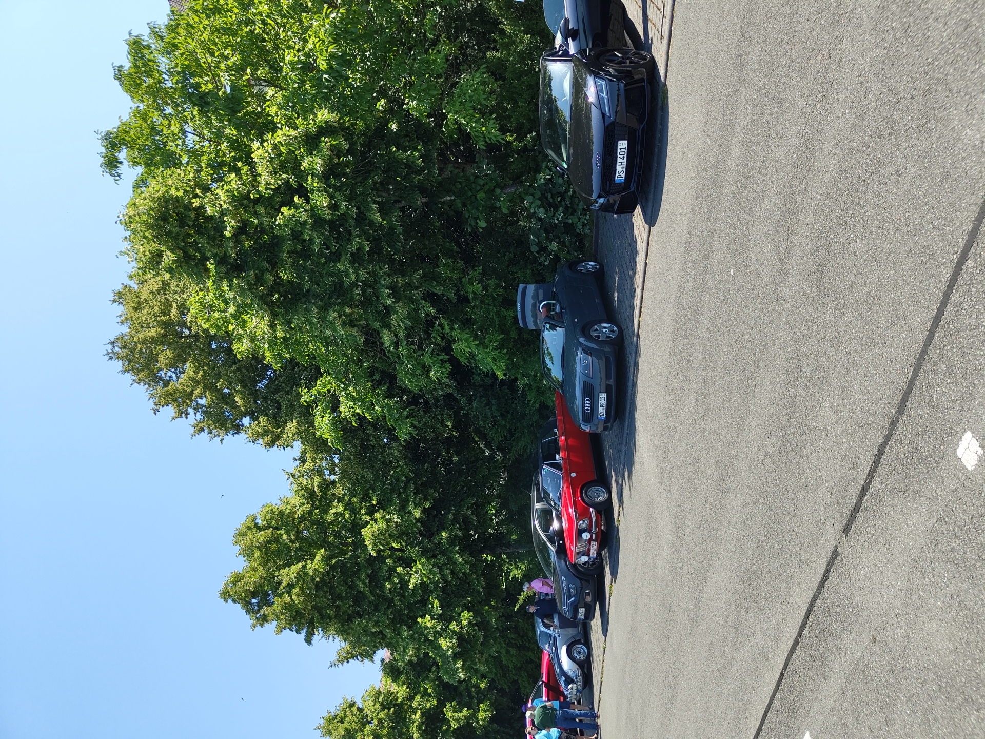 A row of parked cars is lined up on an asphalt surface in front of a dense line of green trees. The sky is clear and blue. Several people are standing near the cars on the left side of the image. The cars include a red convertible, a dark gray convertible with its trunk open, and a black sports car with its driver's side door open. The license plate on the black car reads "PS H 401". The scene appears to be outdoors in a park or parking lot.