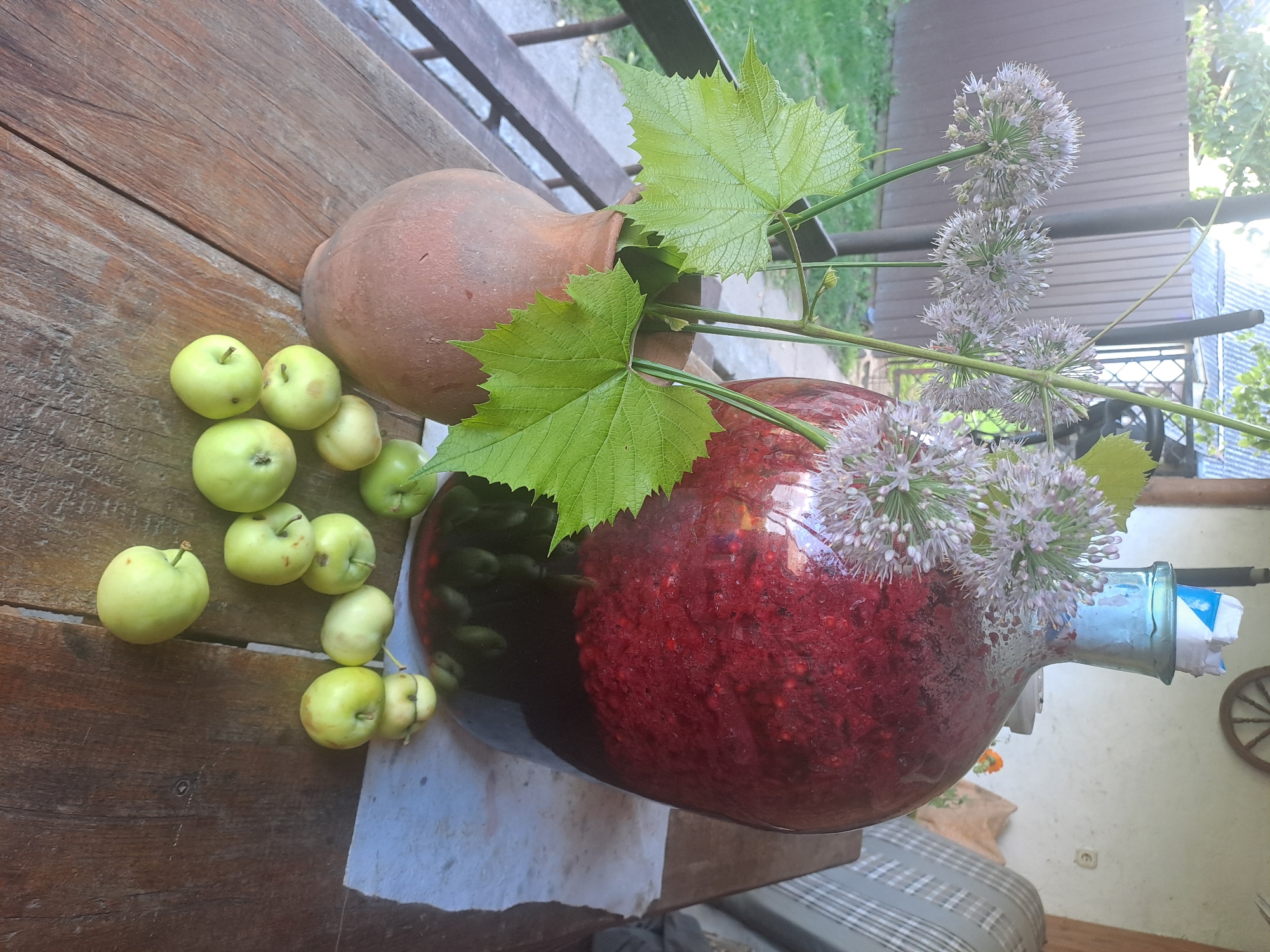 A still life scene depicts a collection of objects on a weathered wooden table, likely outdoors. To the left, a rustic, terracotta vase holds a bouquet of delicate, pale purple allium flowers and vibrant green grape leaves. Behind the vase, a large, dark red glass carboy is partially filled with a deep red liquid, interspersed with what appear to be whole dark green fruits at the bottom. Several small, light green apples are scattered on the table in front of the carboy. The background reveals a blurred outdoor setting with a brown fence, greenery, and the suggestion of a building or porch. The overall impression is one of rustic simplicity and harvest. This image was taken in Porazava, Belarus.