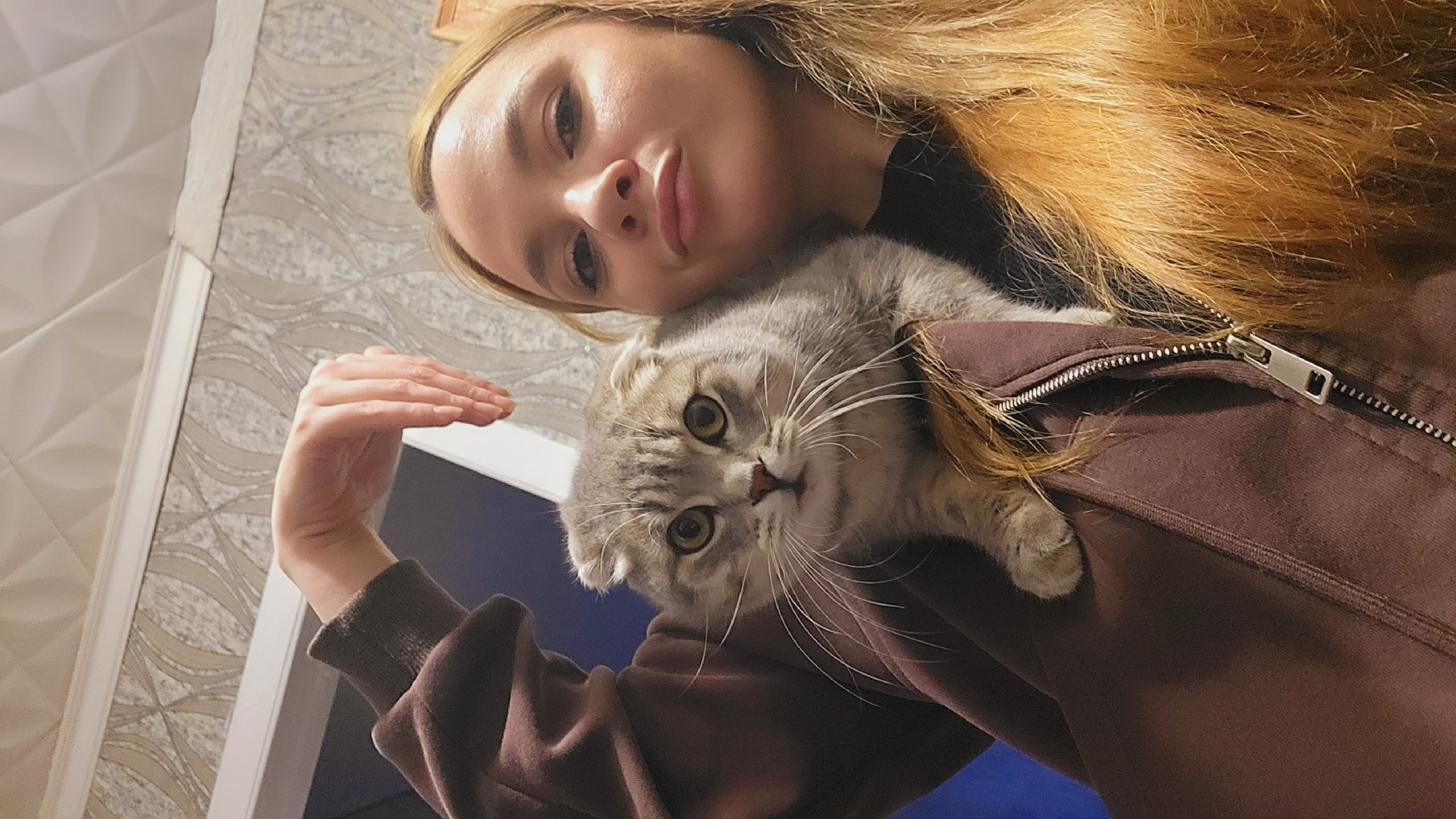 A woman is holding a gray Scottish Fold cat. The woman has long blonde hair. She is wearing a brown hoodie. The cat is resting on her shoulder. The background includes a wall with patterned wallpaper. The location is Зипуново, Russia.