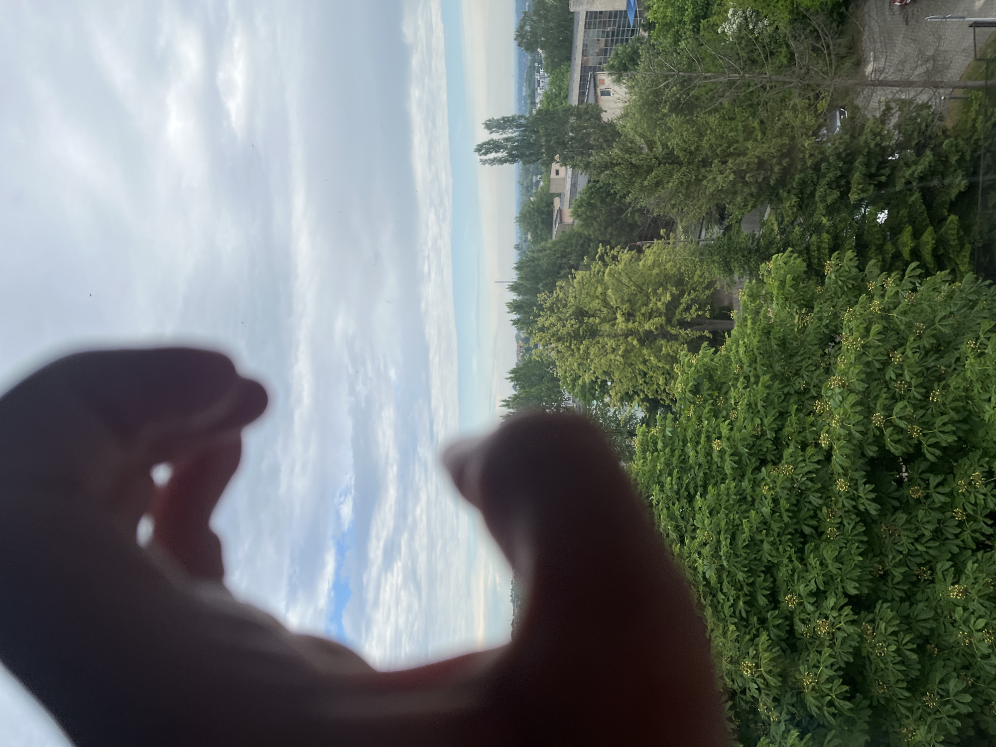 The image presents an elevated outdoor view of an urban or suburban landscape in the city of Unknown, Unknown, partially framed by an out-of-focus human hand in the foreground. The blurred hand, positioned in the upper-left and lower-left, forms an arch-like opening towards the center of the frame, with two distinct bright circular highlights visible within its form. Beyond the hand, the scene reveals a dense green canopy of trees filling the midground and lower portions, comprising both broad-leafed deciduous trees, some with light green foliage and small yellow flower clusters, and darker green coniferous trees. Several low-rise, utilitarian-style buildings with flat roofs and light-colored facades are partially visible among the trees and in the mid-distance. A paved surface, possibly a road or parking lot, is discernible in the lower-right with a small red vehicle. The background features a distant urban or suburban sprawl under a largely overcast sky, with scattered grey and white clouds. A narrow band of lighter blue sky is visible near the distant horizon, suggesting a break in the cloud cover. Small, dark, indistinct specks, possibly birds or insects, are scattered across the sky.