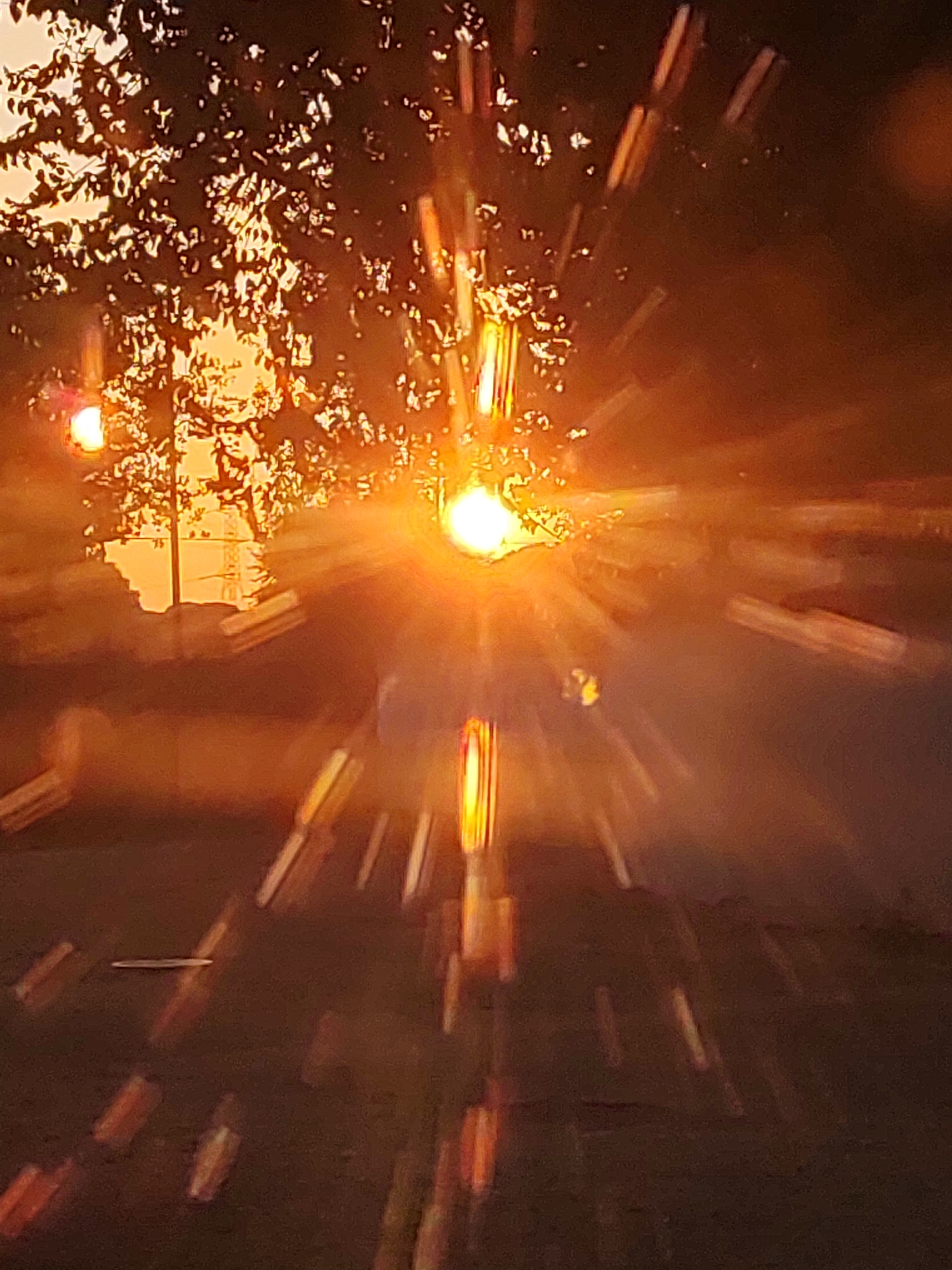 The image captures a sunburst effect, likely caused by the camera's lens or an atmospheric phenomenon, creating streaks of light radiating from a bright central point. This sunburst is partially obscured by the silhouette of tree branches and leaves in the foreground, suggesting an outdoor setting. The background appears to be a road or open area, with the warm, orange glow of the setting or rising sun dominating the scene. The overall impression is one of natural light and a serene, possibly rural or suburban, environment. The mention of Traspinedo, Spain, situates this natural light phenomenon within that specific geographical context.