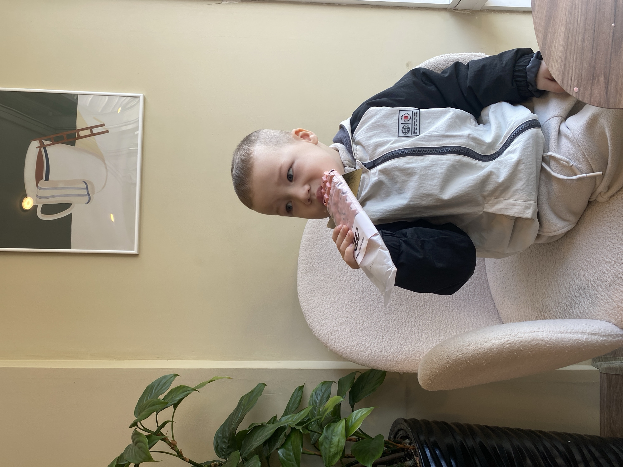 A young boy is eating from a package in what appears to be an indoor setting with natural light. He is seated in a white, textured chair and is wearing a black and white jacket. A painting with abstract imagery hangs on the wall behind him. A potted plant with dark green leaves is positioned near the bottom of the frame. The wall is painted a muted yellow. The exact location within Sochi, Russia cannot be determined from this image alone.