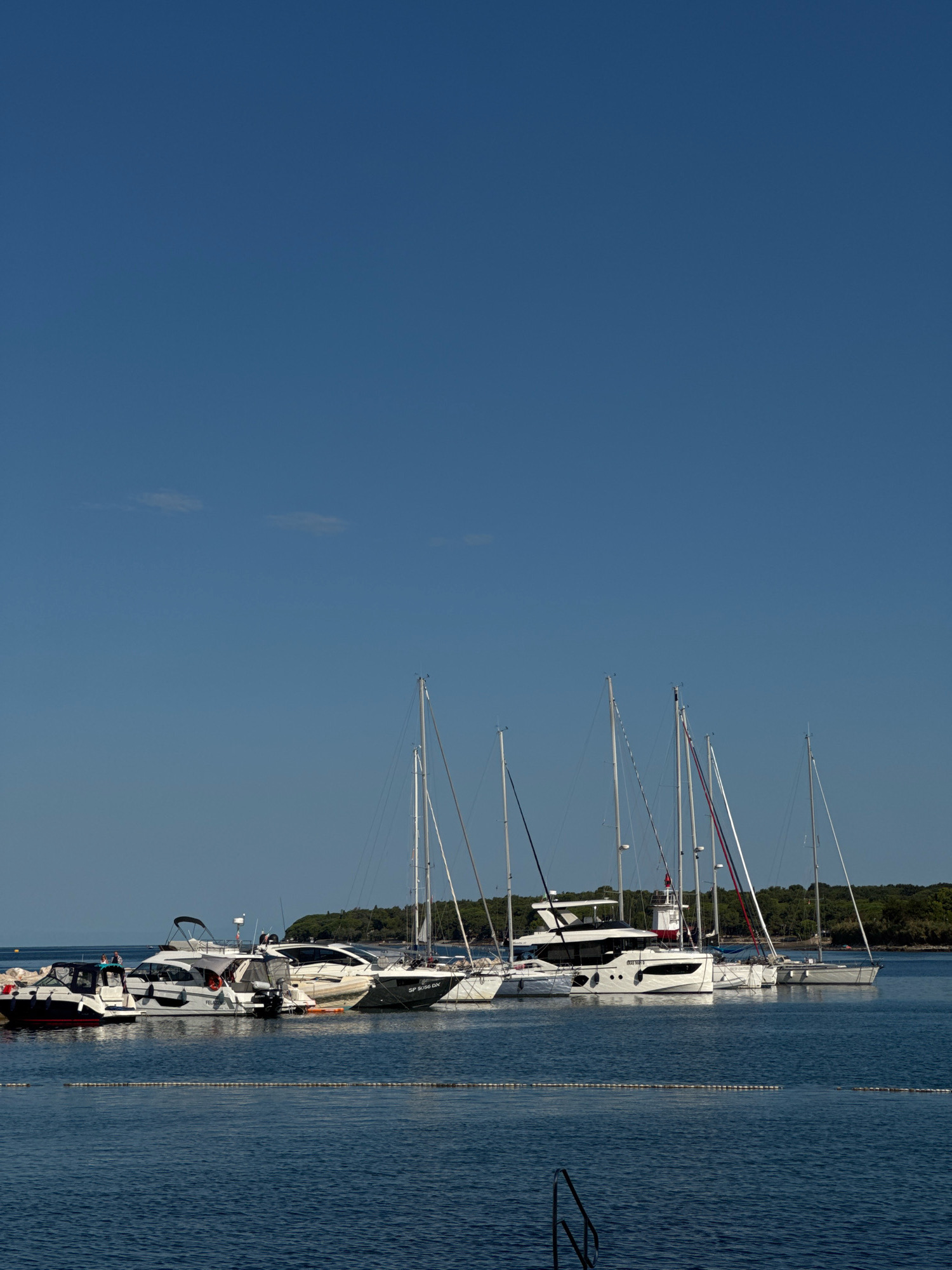 A fleet of white and black boats are docked in a clear blue harbor under a bright blue sky. The boats are of various sizes and types, including several sailboats with tall masts and a few motorboats. The boats are lined up neatly, with some docked alongside each other and others moored individually. In the background, a lush green coastline with trees can be seen, suggesting a coastal location. The water is calm and reflects the blue sky and the white hulls of the boats. This scene is characteristic of a marina in a coastal city like Novigrad, Croatia, known for its picturesque harbors and sailing opportunities.