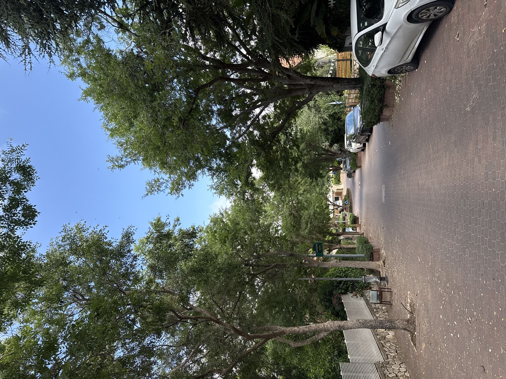 This is a straight-on, eye-level, medium shot of a street in Kfar Vradim, Israel, lined with mature trees on both sides. The street is paved with red brick-like pavers, and the sky is a clear, bright blue. On the left side of the street, there is a stone wall topped with a white slatted fence. A lone, empty metal chair with a light blue seat sits on the sidewalk near a tree. Further down the street, on the right, several cars are parked along the curb, including a white sedan in the foreground. More trees and some houses with red roofs are visible in the background. A green street sign with Hebrew writing is mounted on a pole between two trees on the left side of the road. The scene appears to be serene and quiet, with no people visible. The overall impression is one of a residential street in a well-treed neighborhood.
