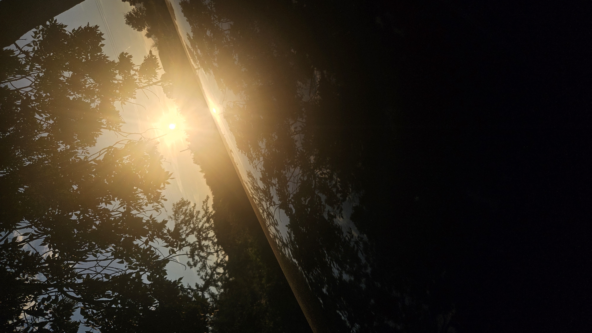 The image captures a sunset scene with the sun peeking through tree branches in the upper portion. The sun's rays create a bright glow that illuminates the sky and casts a golden hue over the landscape. In the foreground, a curved, reflective surface, possibly a car roof or a large metallic object, mirrors the sky and trees, creating an abstract pattern of light and shadow. The lower part of the image is shrouded in darkness, obscuring any details of the ground or surrounding objects. The overall impression is one of serene natural beauty, with the interplay of light and reflection adding a dramatic and artistic touch. The image appears to be taken outdoors in a natural setting, with the presence of trees suggesting a park or a wooded area. The absence of any specific landmarks or identifying features makes it difficult to pinpoint the exact location within a city.