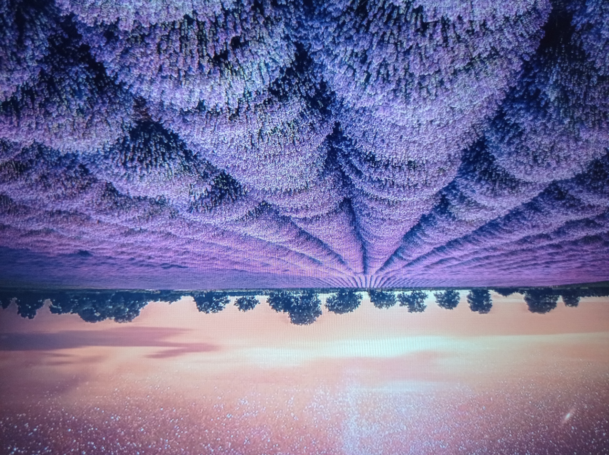 The image depicts a vast field of blooming lavender stretching into the distance under a twilight sky dotted with stars. Rows of dense, purple lavender plants form undulating waves across the landscape, creating a textured and visually striking pattern. In the background, a line of trees stands silhouetted against the horizon, their forms softened by the low light. The sky is a gradient of soft pinks, oranges, and blues, with streaks of clouds hinting at the fading light of day and the emerging night. The overall impression is one of serene natural beauty and expansive open space. There is no indication of any urban environment, including the city of Mukachevo, Ukraine. The scene is devoid of people or any human activity.
