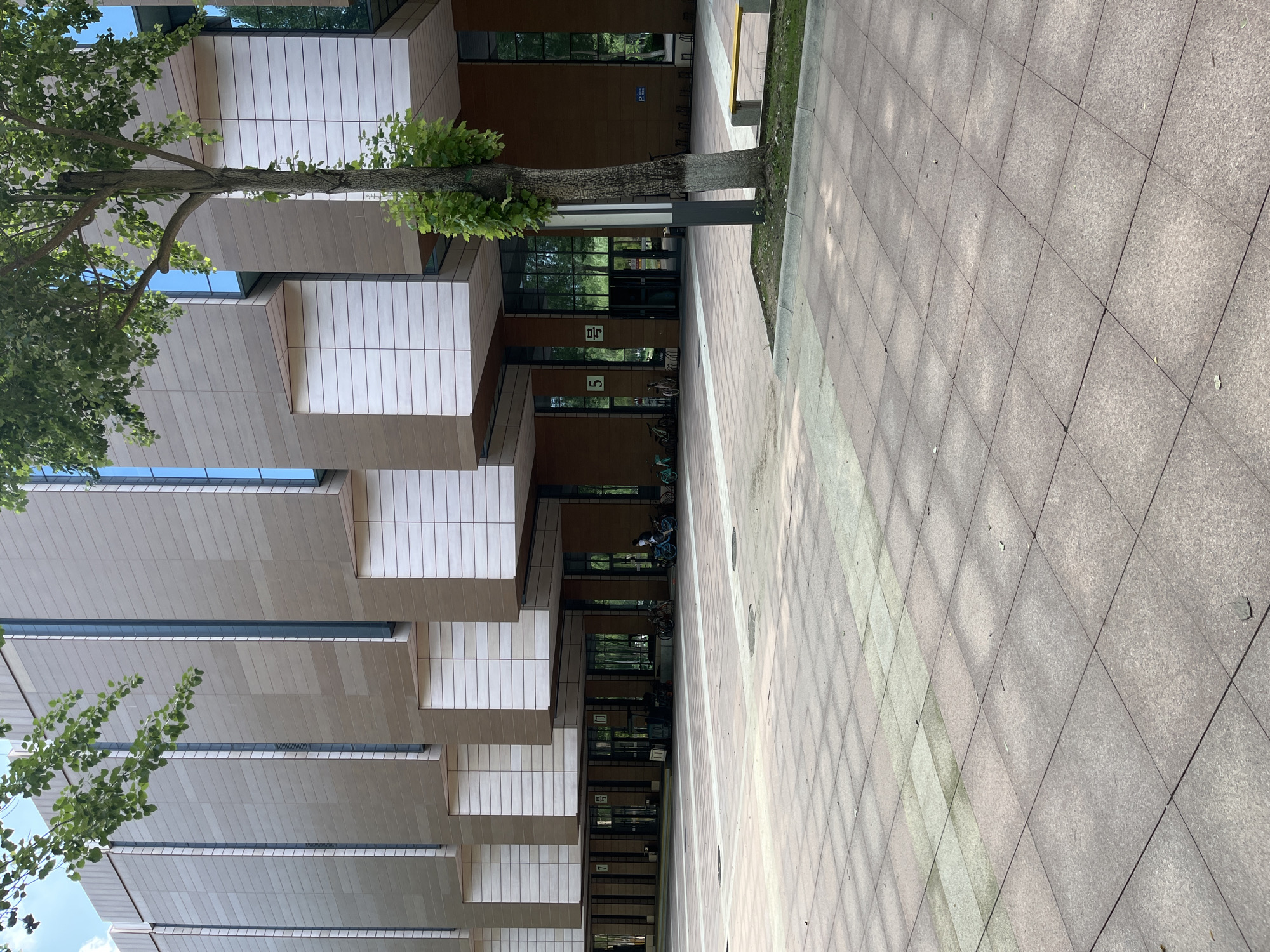 The image shows the exterior of a modern building with a tiled facade and large glass windows. A tree with green leaves stands in the foreground, partially obscuring the building. The ground is paved with square tiles, and in the background, there are several bicycles parked and a few people walking. The scene appears to be an outdoor plaza or walkway in front of a building, possibly a university or office complex. The presence of bicycles and the modern architecture suggest an urban or campus environment. The location is identified as Changchun City, China.