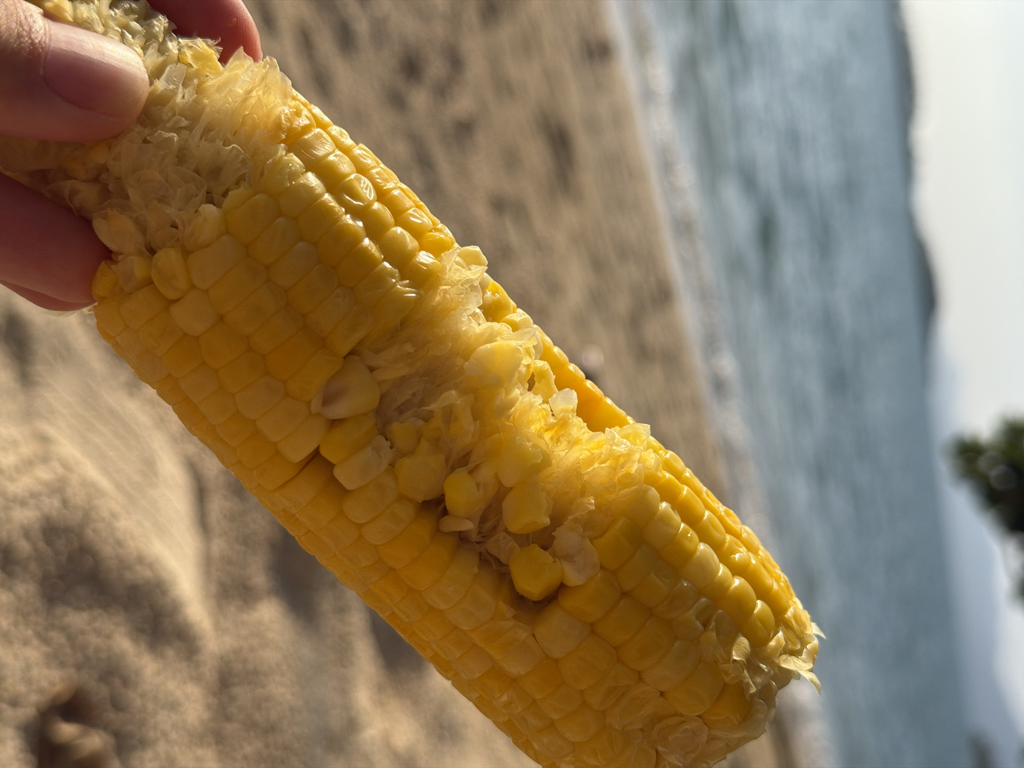 A close-up, eye-level shot shows a person's hand holding a partially eaten ear of corn against a blurred background of a sandy beach and the ocean. The corn is bright yellow with visible kernels, some of which have been chewed. The hand, with manicured fingernails, is holding the cob from the bottom, with the chewed portion facing upwards. The beach sand is a light brown color and appears dry, with soft shadows cast by the sunlight. The ocean water is a muted blue-green, with gentle waves lapping at the shore. In the far distance, blurred hills or mountains are visible against a pale sky. The overall lighting suggests it is either early morning or late afternoon, with the sun casting warm, golden hues. The image appears to be taken outdoors in a tropical coastal setting, consistent with the location of Ko Samui District, Thailand.