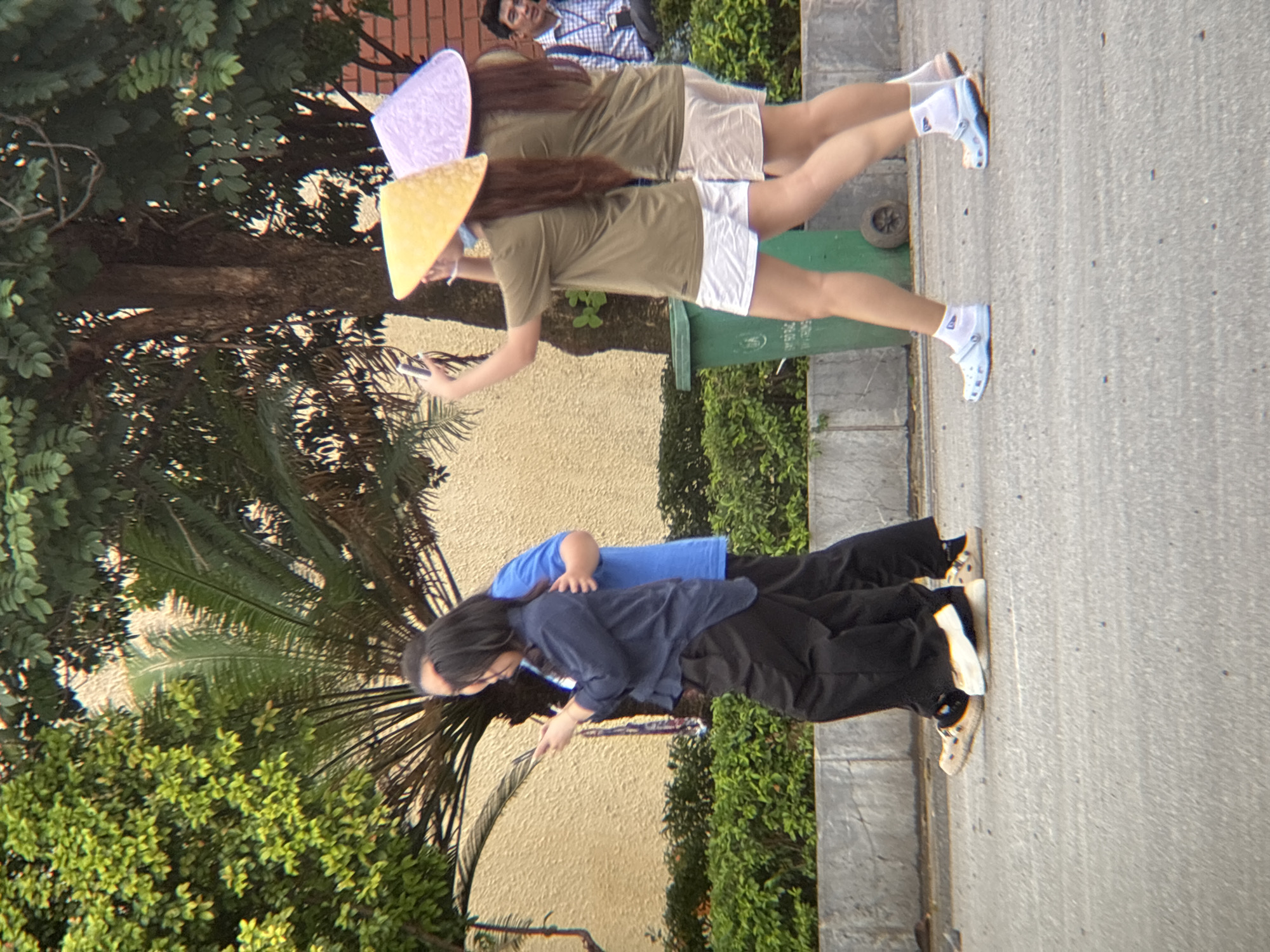 A group of people are walking outdoors on a paved surface. Two individuals in the foreground are wearing conical hats, one yellow and one light purple, and both are holding up smartphones, seemingly taking photos or videos. The person with the yellow hat is wearing a green t-shirt and white shorts, while the person with the purple hat is wearing a similar green t-shirt and beige shorts. Behind them, two other individuals are walking, one in a dark blue shirt and black pants, and the other in a blue t-shirt. In the background, a man in a checkered shirt is seated. The environment includes lush green foliage, trees, and a green trash bin. The lighting suggests it is daytime.