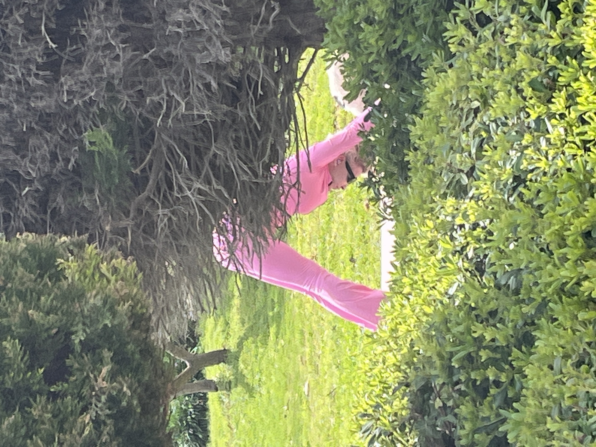 A woman wearing a bright pink, tight-fitting, long-sleeved jumpsuit and sunglasses is reaching into a dense, green bush. The scene is outdoors in a park-like setting, with a lawn visible in the background. To the left of the woman and bush is a tree with bare branches covered in grey moss or lichen. Although the city of Alanya, Turkey is specified, the image provides no evidence to confirm this location.