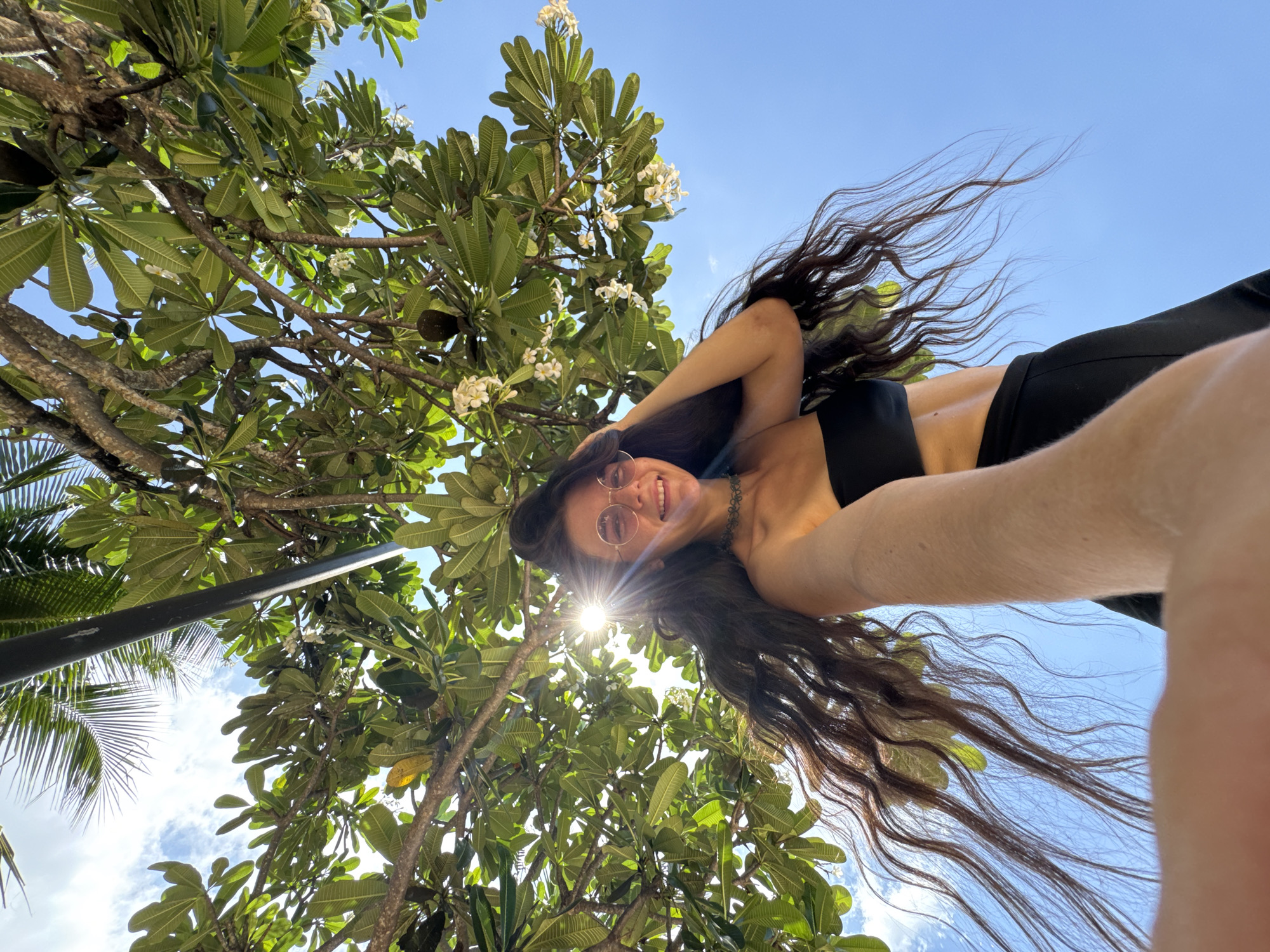 A low-angle selfie, taken in Phu Thuy Ward, Vietnam, depicts a young woman smiling directly at the camera from beneath a canopy of lush green trees against a clear blue sky. The woman, who appears to be in her 20s or early 30s, has long, dark, wavy hair that cascades around her. She wears round, rose-tinted sunglasses, a black strapless crop top, and partially visible black bottoms, along with a dark choker necklace. Her right arm, holding the camera, extends into the foreground, and her left hand is raised, touching her hair near her head. Bright sunlight filters through the leaves, creating a prominent sunburst effect near her face on the left side of the frame. The tree canopy primarily consists of large green leaves and clusters of white-yellow flowers, consistent with a Plumeria tree, and a dark, ovoid fruit or seed pod is visible on one of its branches. A section of a palm tree is visible in the upper left, and a dark vertical pole extends downwards from the top center of the image, partially obscured by foliage. The sky is predominantly clear blue with scattered white clouds visible through gaps in the leaves.