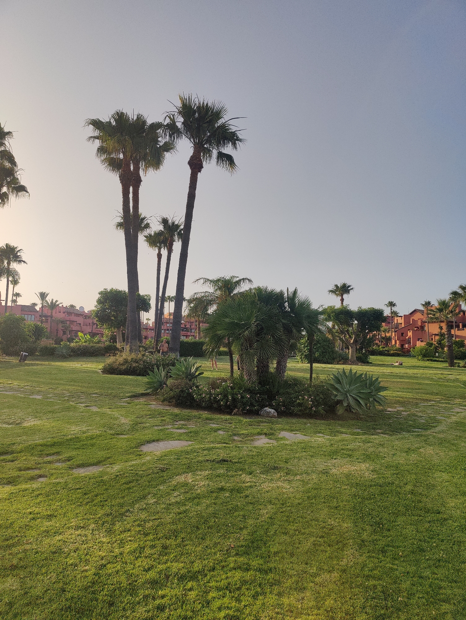 A wide-angle, eye-level shot captures a resort-style landscape with lush green grass, palm trees, and terracotta-colored buildings in the background under a clear, light blue sky. In the mid-ground, a cluster of tall palm trees dominates the scene, with one person, a male, standing near them. To the right of the palm trees, a man is visible, walking across the grass. Smaller agave plants and flowering bushes are scattered throughout the landscaped area. The buildings, appearing to be apartments or hotel rooms, are a uniform terracotta color with white trim. The overall scene is serene and well-maintained, suggesting a vacation or resort setting.