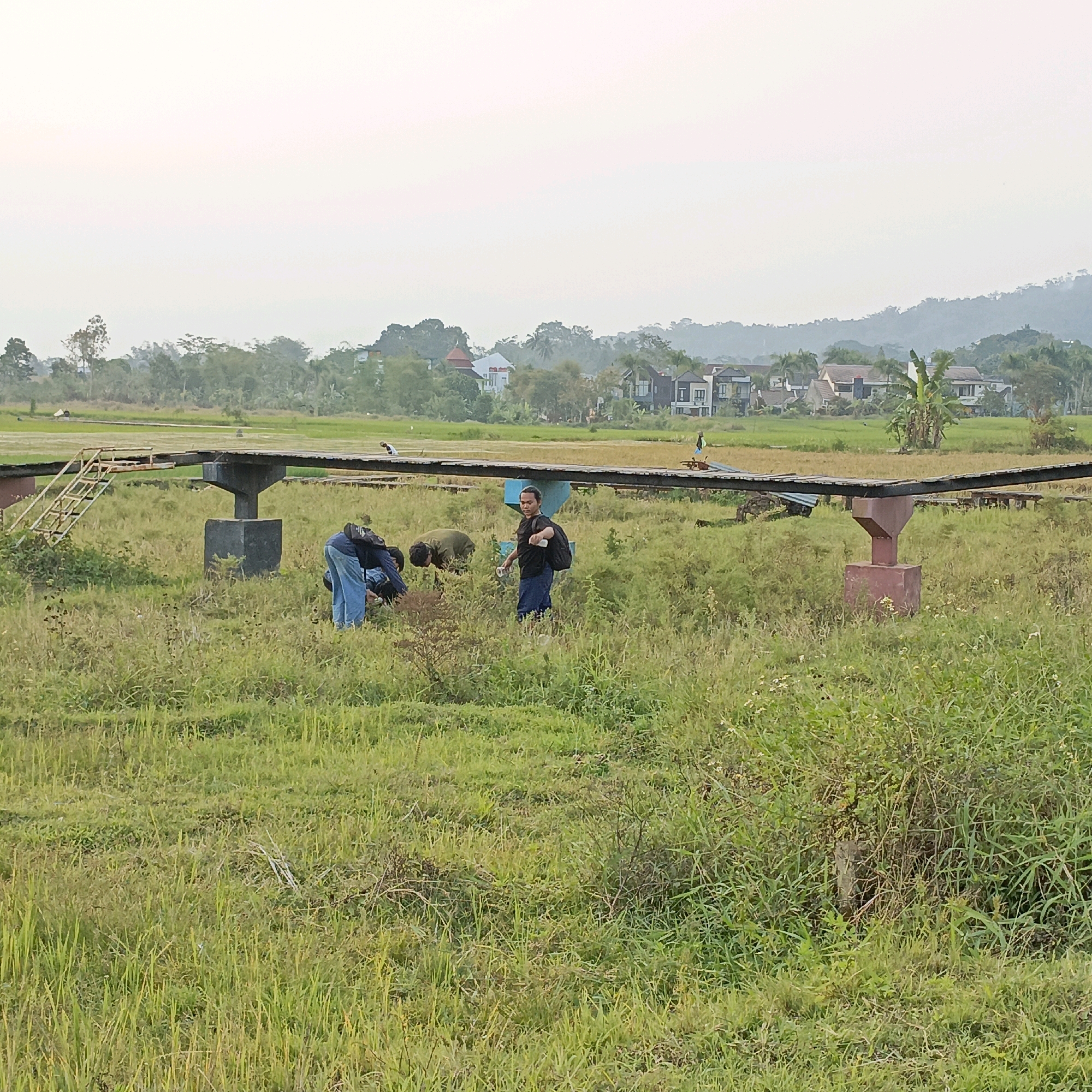 The image depicts an outdoor scene in Salatiga, Indonesia, likely a rural or semi-rural area given the presence of a rice paddy and vegetation. In the foreground, a person in a black shirt and dark pants with a backpack is standing in tall green grass. To the left, two other individuals, one wearing blue jeans and a blue shirt, are bending down, seemingly tending to something in the grass. A raised wooden walkway supported by concrete pillars extends across the middle ground. A rusty metal staircase leads up to this walkway on the left side. In the background, houses and trees are visible, suggesting a residential area adjacent to the open field. The sky is overcast, contributing to a soft, diffused light. The overall impression is a peaceful, everyday scene in a natural setting.