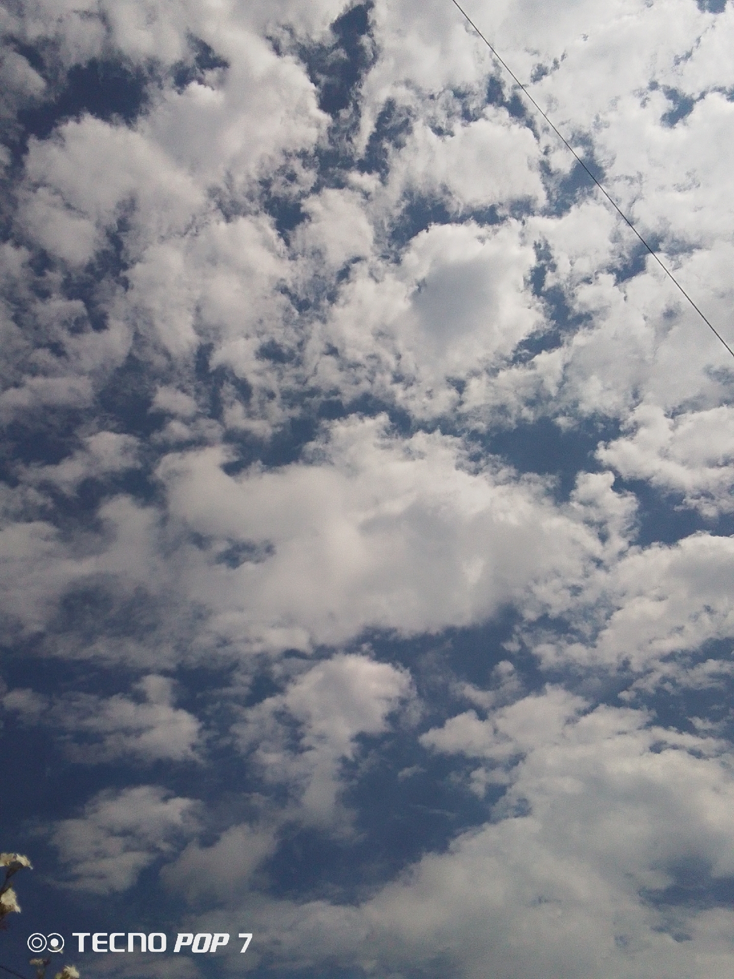 The image captures a vibrant daytime sky filled with numerous white and grey cumulus clouds against a deep blue background. The clouds vary in size and density, with some larger, fluffier formations and other thinner, more scattered ones, allowing patches of clear blue sky to show through.
A thin, dark power line or cable stretches diagonally across the frame, running from the upper right corner towards the lower left, passing over the clouds and sky. In the bottom left corner, there are some indistinct, blurry white elements, which appear to be foliage or flowers from a plant, partially visible.
A white watermark is present in the bottom left of the image, featuring a small camera-like logo followed by the text "TECNO POP 7". The overall lighting is bright, indicating it is daytime. The scene evokes a feeling of an open, airy sky in Altagracia, Venezuela.