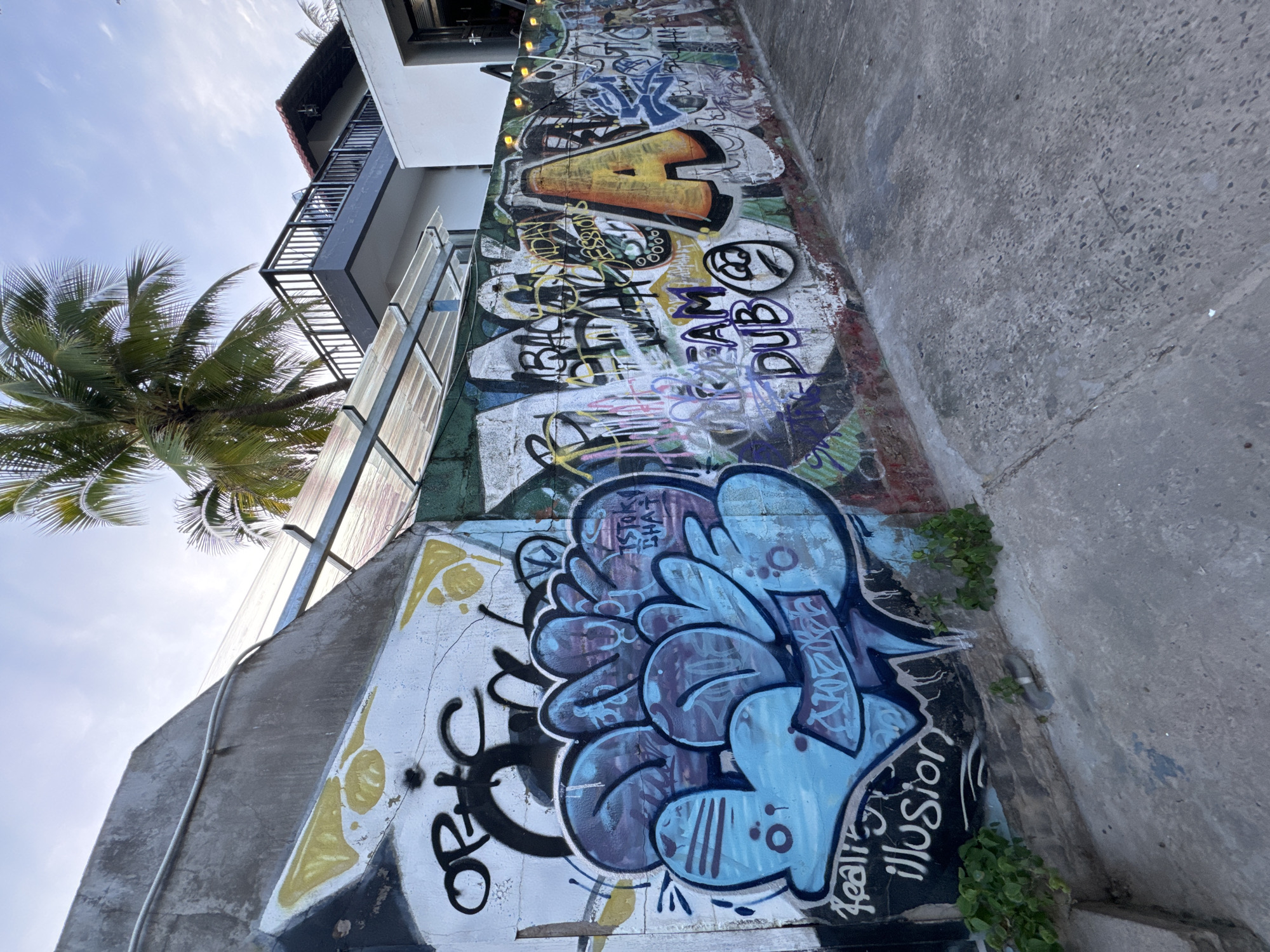 The image shows a street scene in Mũi Né, Vietnam, characterized by a wall covered in colorful graffiti. The graffiti features various styles and lettering, with prominent pieces including large blue and purple bubble letters on the left, and an orange letter 'A' on the right, surrounded by other spray-painted designs. The wall is made of concrete and appears to be part of an outdoor area, possibly a walkway or alley.
Behind the wall, a palm tree is visible, its fronds reaching towards a pale blue sky with wispy clouds. A building with a balcony and a red-tiled roof is situated in the background, suggesting a residential or commercial area. There is also a translucent, corrugated roof structure supported by metal beams, positioned over a section of the wall. The ground in the foreground is concrete, showing some wear and tear, and a few small green plants are growing near the base of the wall. The overall impression is of a vibrant, urban environment with a strong street art presence, typical of many coastal towns.