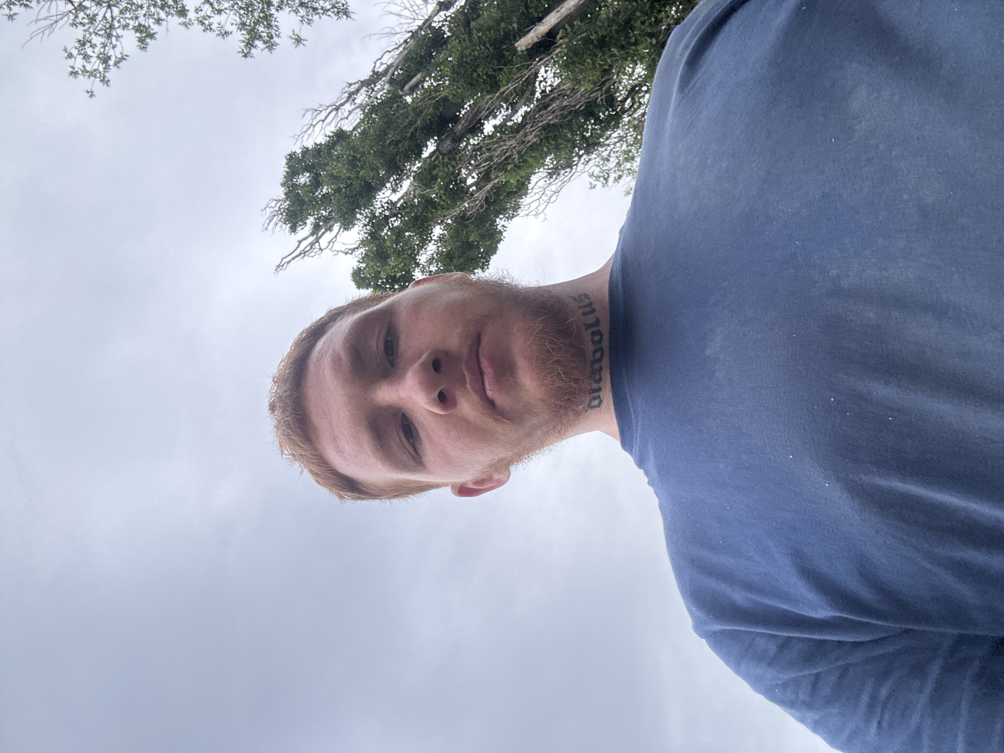A low-angle, wide shot captures a man with short, reddish-brown hair and a beard, looking directly into the camera. He is wearing a dark blue t-shirt, and a tattoo that reads "diabolus" is visible on his neck. The background is dominated by a cloudy, pale sky, with the tops of tall, leafy trees on the right side of the frame. The scene appears to be outdoors in an unspecified location, as there are no discernible city landmarks or environmental cues to indicate a specific urban setting.