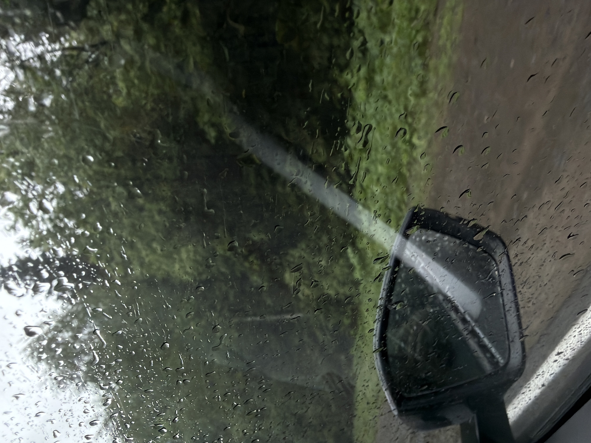 The image depicts a view from inside a vehicle, likely a car, on a rainy day. Raindrops are visible on the windshield, obscuring the view of the road and surrounding greenery. A side mirror is visible on the right side of the frame. The road appears to be a narrow lane bordered by dense vegetation. The location cannot be determined to be in Dvigatel', Russia as there is no way to verify the location from the provided image.