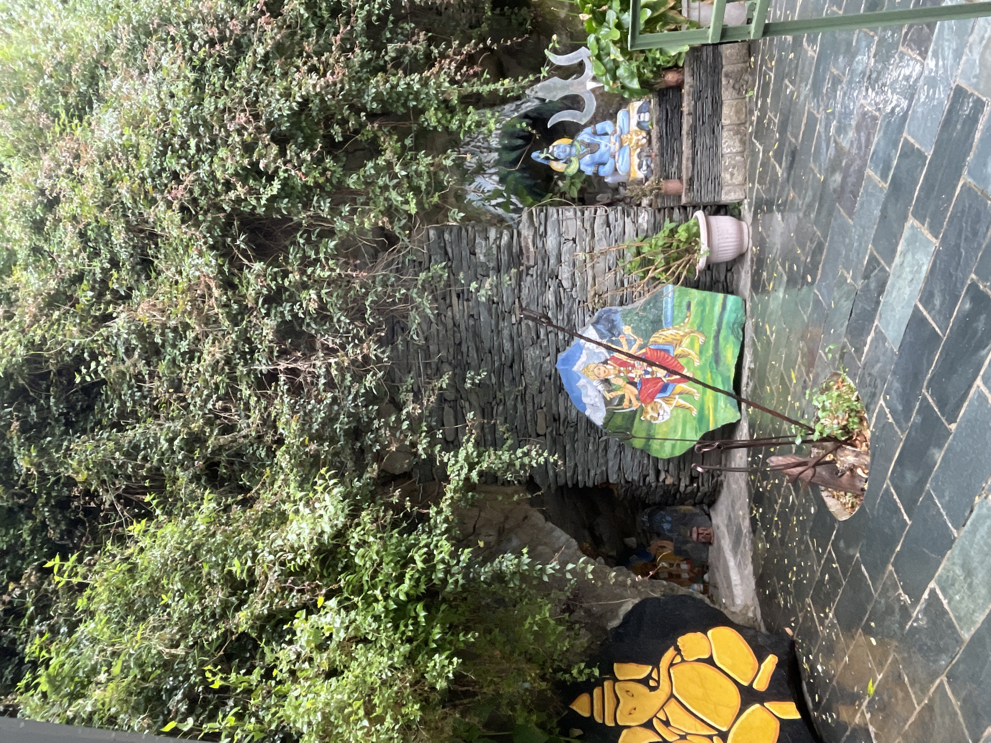 The image depicts an outdoor shrine nestled within a rocky alcove overgrown with lush green vines. The ground is paved with dark grey, rectangular stone tiles, some of which appear wet, suggesting recent rain.
To the left, a large, dark-colored, roughly circular rock is painted with a vibrant yellow depiction of Ganesha, the elephant-headed deity, with bold outlines. Adjacent to it, in the shadowed recess of the alcove, are smaller idols and structures, partially obscured by darkness and foliage.
In the center of the scene, a large, irregular-shaped rock serves as a canvas for a colorful painting of a deity, likely Durga, riding a tiger, with a mountainous landscape in the background. A long, thin metal rod, possibly a ceremonial implement, is planted in a small circular opening in the tiled ground near this painting.
To the right, within another alcove, a blue-skinned statue of Shiva is seated cross-legged. Behind the statue, a silver trident, a symbol associated with Shiva, is visible. Several potted plants with green foliage are placed around the shrine, adding to the natural ambiance. The stone walls of the alcove are constructed from layered, dark grey stones.
The overall setting appears to be a spiritual or devotional space, possibly part of a larger temple complex, with a serene and naturalistic aesthetic. This image was captured in Bhagsu, India, a popular tourist destination known for its spiritual sites and natural beauty.