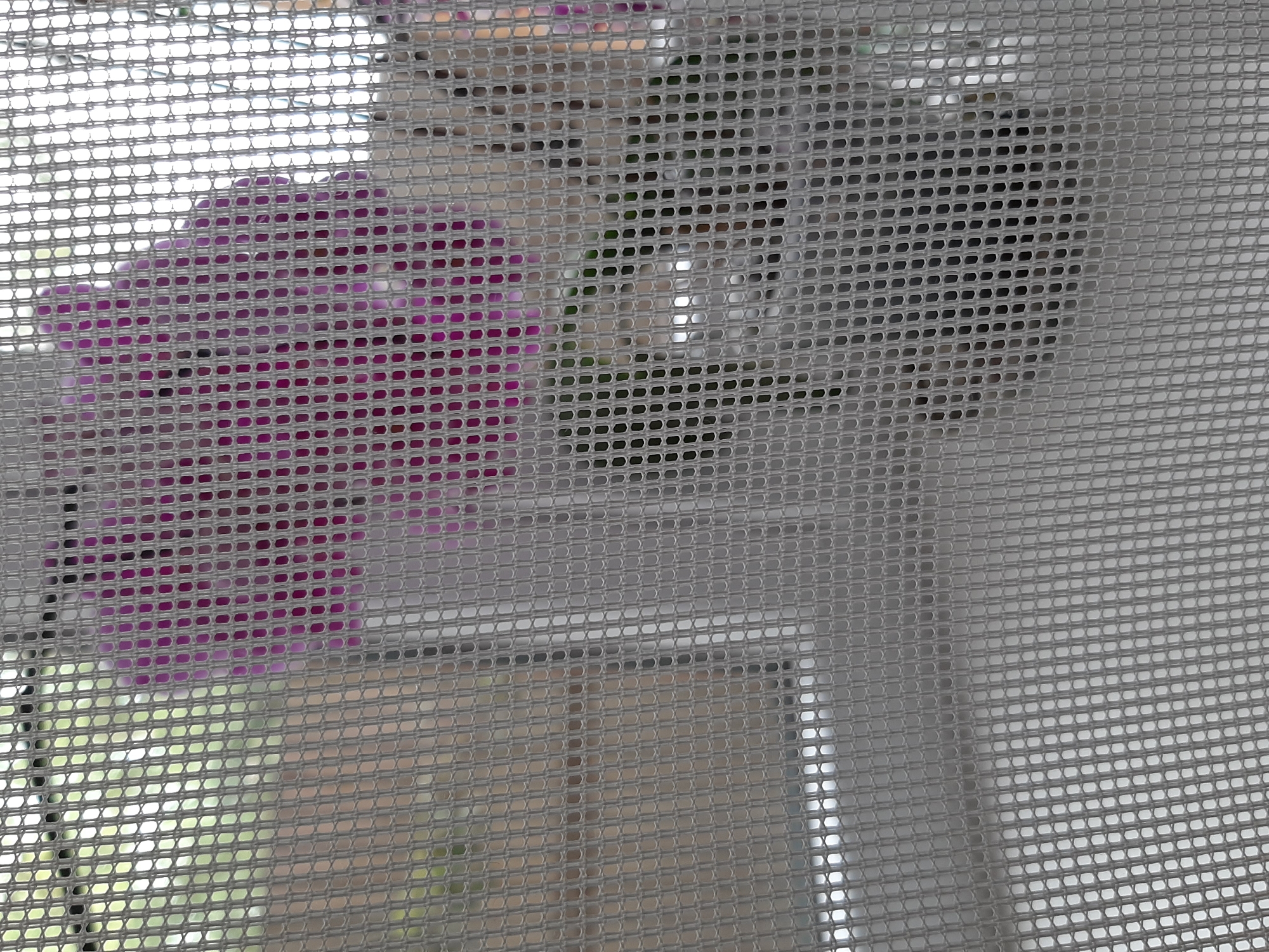 The image shows a blurred view of purple flowers behind a screen, with a hint of greenery and light in the background. The screen has a regular, repeating pattern of small holes. The scene is likely indoors or on a balcony, given the presence of the screen and the soft lighting. There are no visible people or specific landmarks that would allow for localization to the city of Lviv, Ukraine.