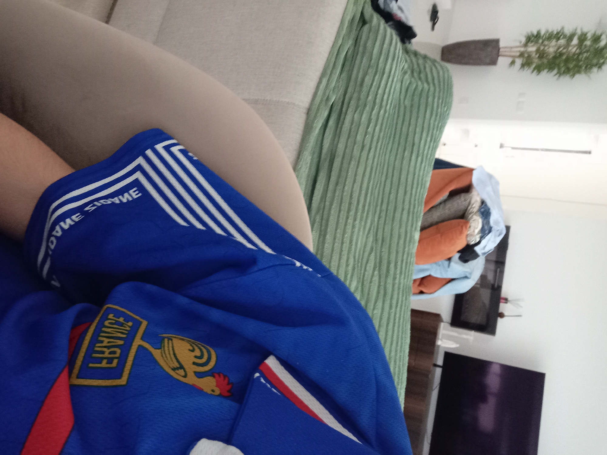 A person is sitting on a beige couch, wearing a blue France national football team jersey. A green ribbed blanket is draped over the couch. In the background, a television is visible, and a potted plant sits on a shelf. The location is inside a residence, most likely in Felgueiras, Portugal. No interactions or specific actions are taking place.