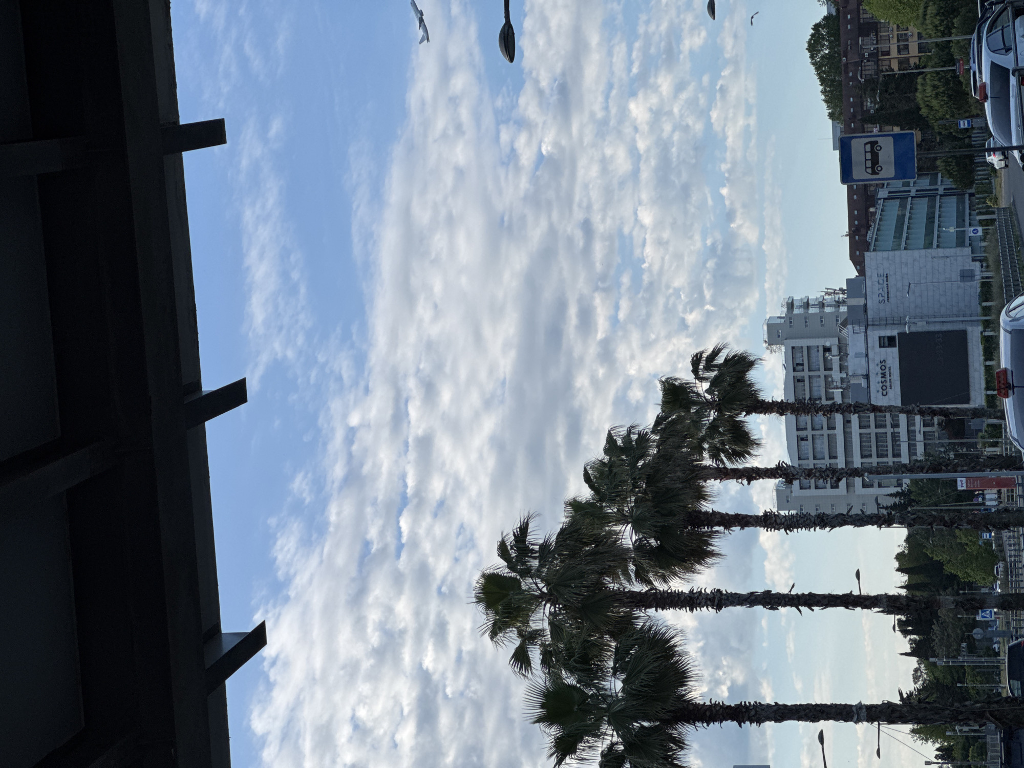 This media file captures an urban street scene under a bright sky. The perspective is tilted, making the horizon appear vertical in the original image, but when viewed correctly (rotated 90 degrees counter-clockwise), it shows a view from beneath an architectural overhang.
**Subjects:** The scene features a row of several tall palm trees with visible trunks and fronds, silhouetted against a vibrant blue sky filled with scattered white, wispy clouds. In the background, modern multi-story buildings line what appears to be a street or promenade. Parts of vehicles, including cars and possibly a van, are visible on the far right. A prominent blue square sign with a white bus icon, indicating a bus stop, stands next to the road. Streetlights are also visible. On the far left, a dark, shadowed structural element, possibly an overhead walkway or building facade, frames the upper portion of the image. A small, white, bird-like object can be seen in the sky.
**Activity or event taking place:** No specific activity or event is depicted; it's a static view of an urban environment.
**Notable details:** The time of day appears to be daytime, likely mid-morning or afternoon, due to the bright, clear sky and natural light. The weather is sunny with pleasant cloud cover. The palm trees and urban setting suggest a city in a warm climate, consistent with the location context of Sochi, Russia.
**Visible text:** On one of the buildings in the background, the words "COSMOS" and "SPACE" are clearly visible. Below "SPACE" there is also Russian text: "СИГАРНЫЙ КЛУБ" (Cigar Club).