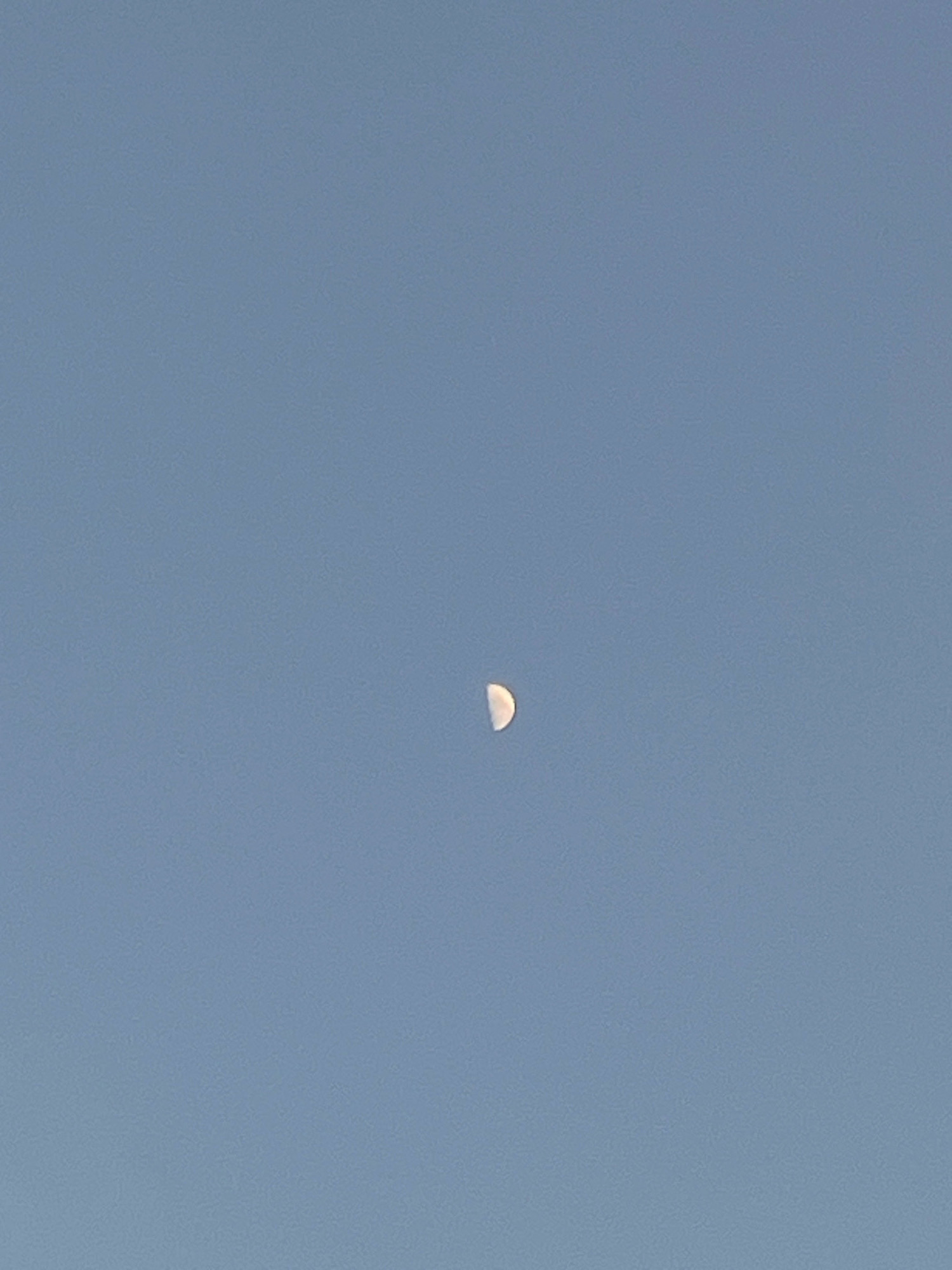 A crescent moon is visible in a clear, blue sky. The moon is positioned in the lower center of the frame. The sky is a uniform light blue color, with no other celestial bodies or clouds visible.