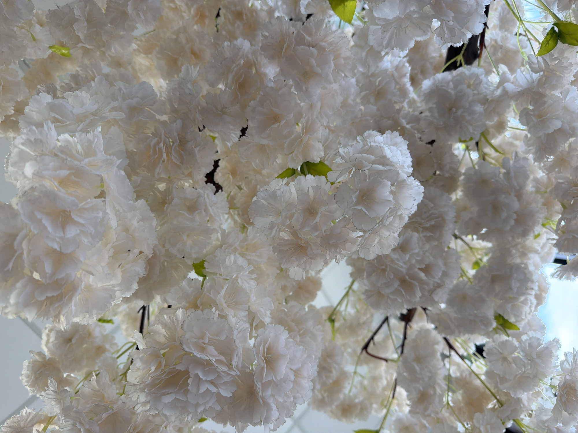 The image shows a dense collection of white flowers, likely artificial, arranged in clusters or bunches. The flowers appear to be in full bloom with numerous petals. There are a few green leaves visible amongst the white blossoms. The light suggests an indoor setting with some natural light source coming from above. Traces of blue sky are visible in the upper right corner of the frame. It is impossible to tell if this image was taken in Chicago, United States of America.