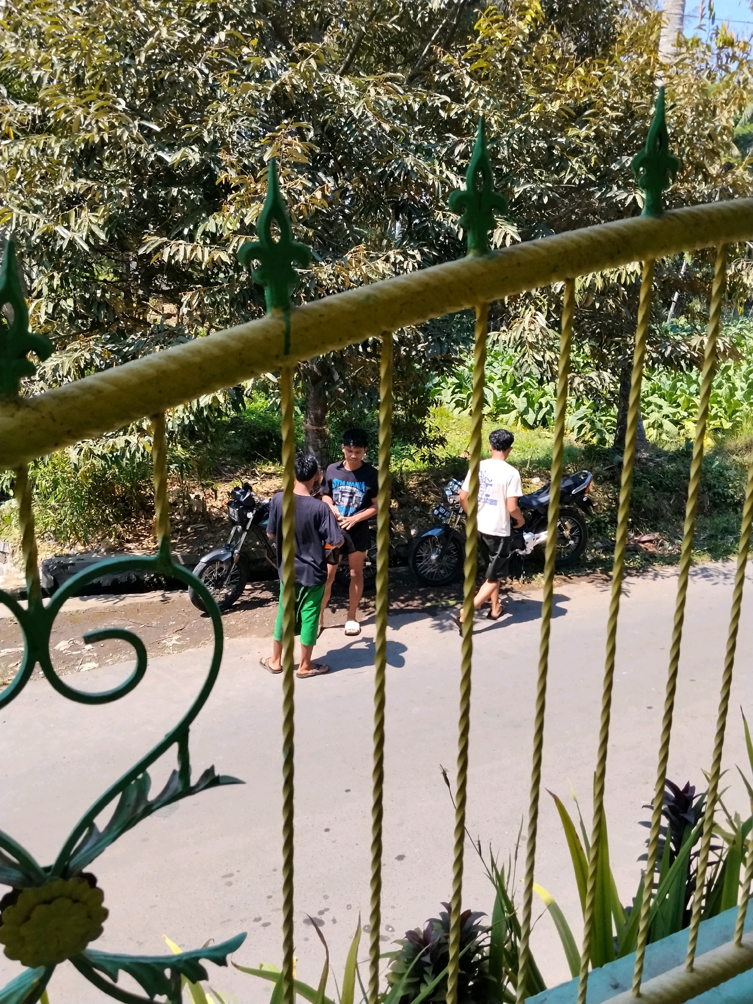 Two young males are standing on a paved road in front of two motorcycles. The male on the left is wearing a black t-shirt and green shorts. The male on the right is wearing a white t-shirt and black shorts. Both males are wearing sandals. The motorcycles are parked on the side of the road, which is lined with trees and lush vegetation. The scene appears to be in a rural or suburban area. The overall lighting suggests it is daytime. The image is taken from behind a metal fence.