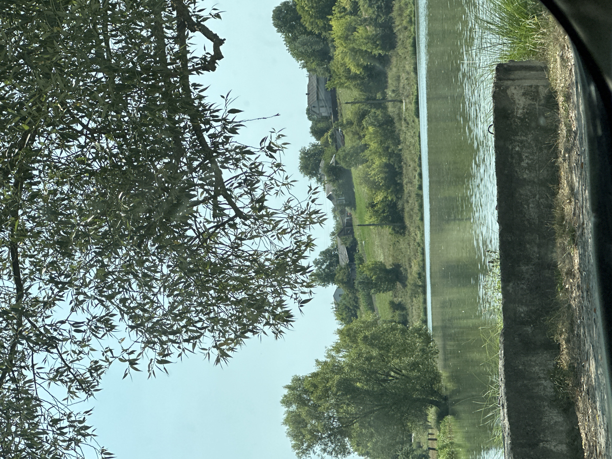 A tranquil lakeside scene is depicted, with the water's surface reflecting the light. The foreground features a concrete barrier covered in dry grass and debris. Beyond the barrier, a body of water stretches towards a grassy embankment dotted with trees and a few houses. The sky is clear and blue, with a canopy of green leaves from an overhanging tree partially obscuring the view from above. This image likely captures a view of the river Tysmenytsia in Makiv, Ukraine, a location known for its natural beauty.