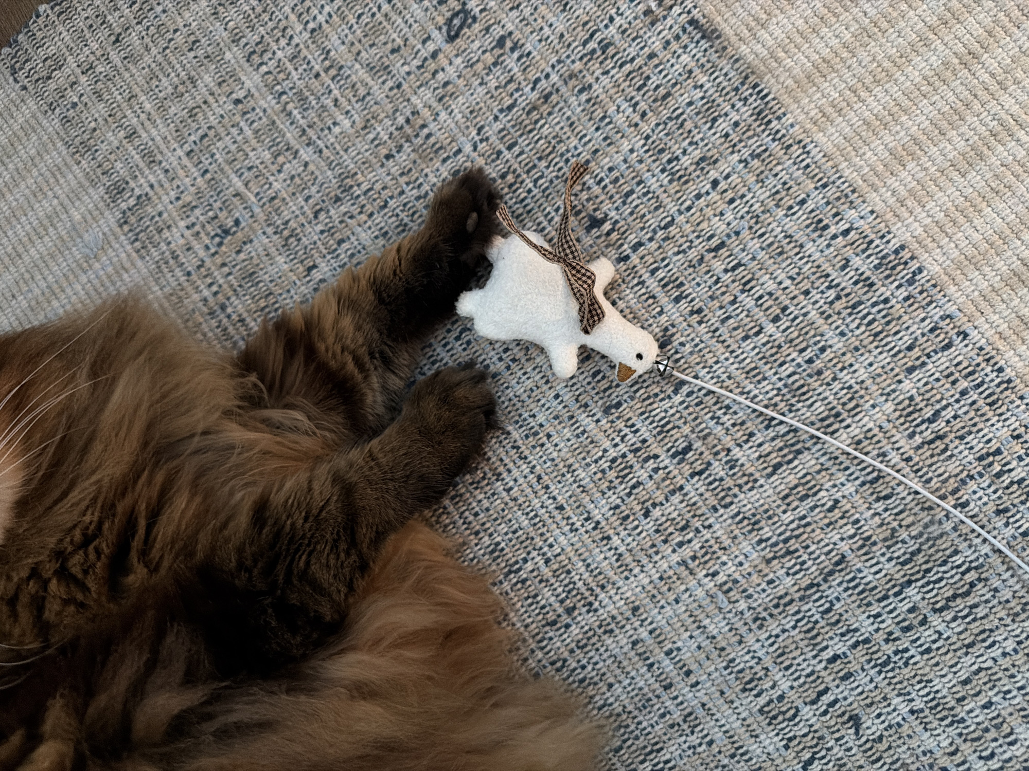 A domestic cat, predominantly brown with tan undertones and a long, fluffy coat, rests on a woven rug with a textured pattern of blue, tan, and white threads. The cat's paws are visible, one extended towards a small, white stuffed toy shaped like a duck. The toy has a brown and white checkered ribbon tied around its neck and a small bell attached to a white string extending from its beak. The scene is indoors, on a rug, with no observable elements indicating a specific location in Kyiv, Ukraine.