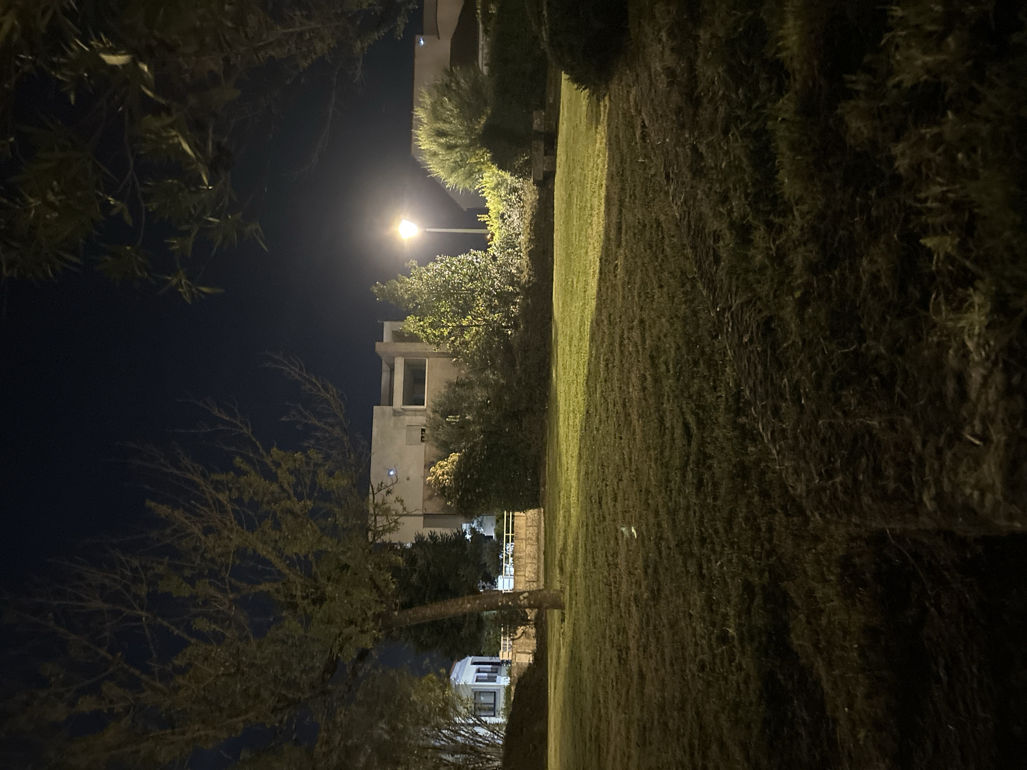 The image depicts a nighttime scene in Vila Real, Portugal, with a street light illuminating a building and surrounding foliage. A trimmed lawn is visible on the right side of the frame, with trees framing the scene. The building is a light-colored structure with several windows. The lighting is dim, but the street light provides sufficient illumination to discern the shapes and forms of the environment.