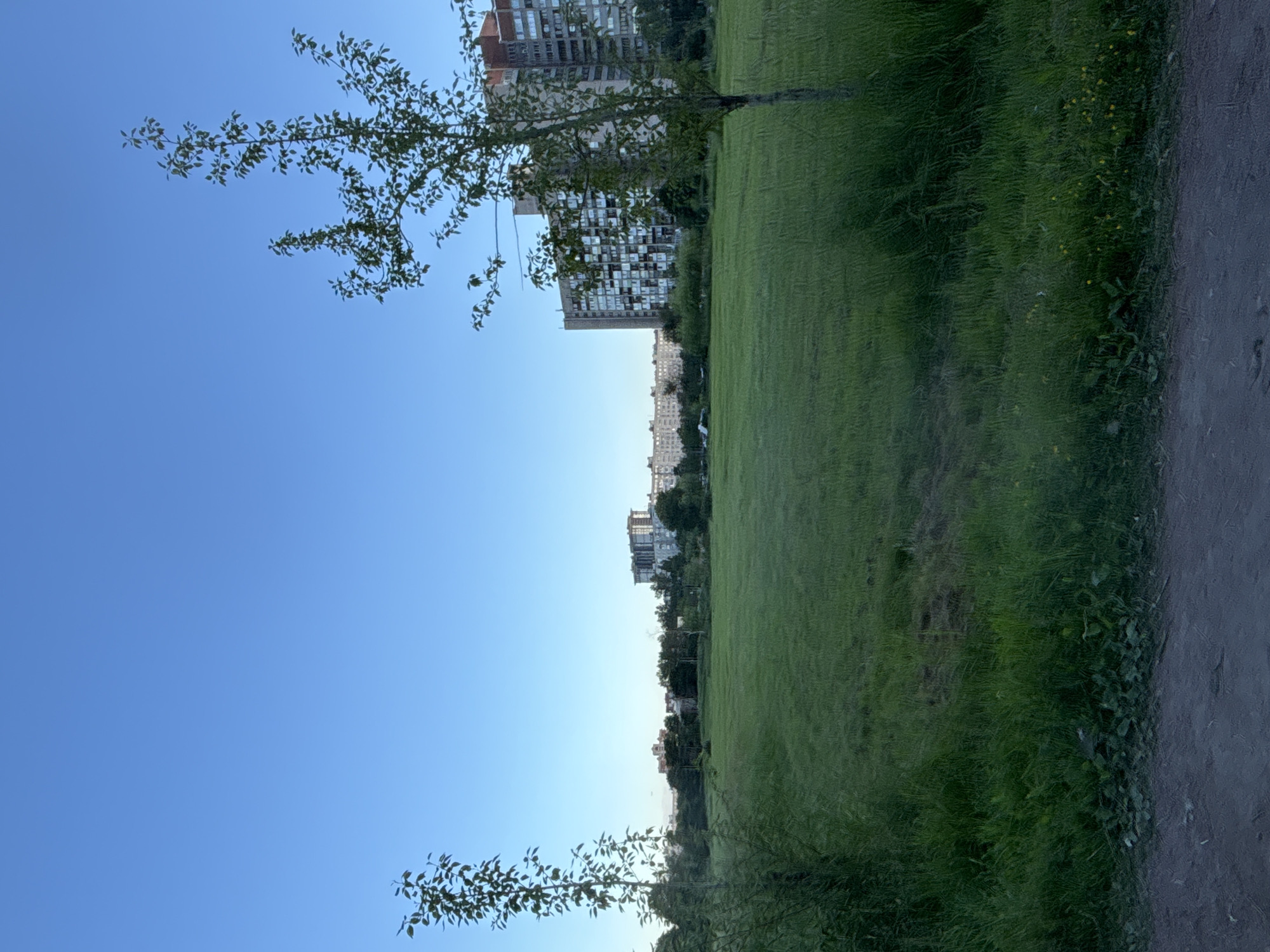 The image depicts a wide, grassy field in an urban setting under a clear blue sky. In the foreground, to the left and right, are two slender trees with sparse foliage. The field itself is predominantly green, appearing well-maintained, with some darker patches suggesting variations in grass height or wear. In the middle ground, a line of trees forms a boundary between the field and the cityscape.
The background is dominated by several multi-story apartment buildings. On the right, a large, gray concrete apartment complex with many windows is prominent. Further to the left, other apartment buildings are visible, some with brick facades, and a lighter-colored building stands out. The overall impression is that of a residential area with green spaces integrated into the urban landscape. The lighting suggests it is either early morning or late afternoon, with the sun casting a gentle light on the scene. There are no people or animals visible in the image.