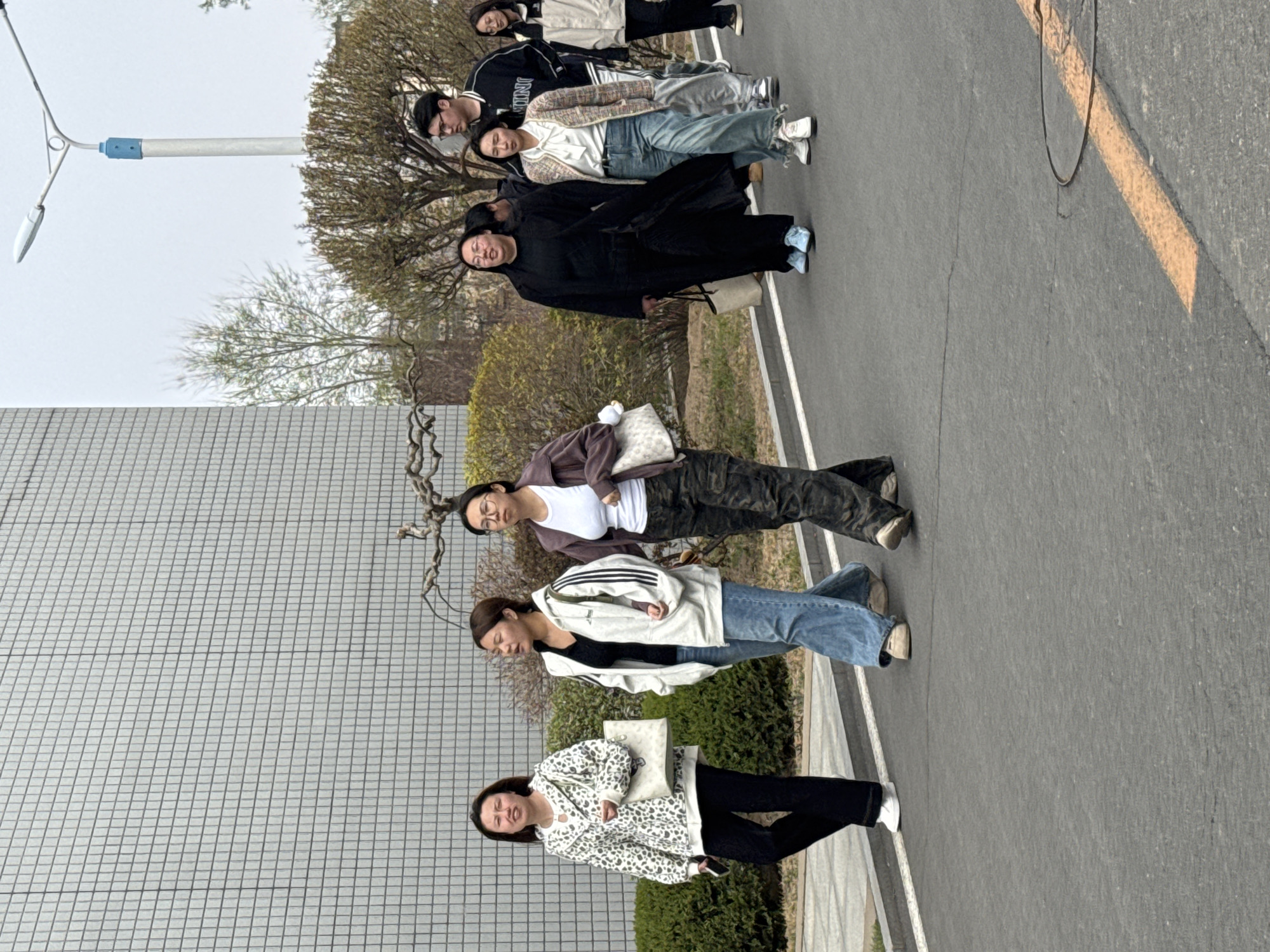This image, captured in Zhongtun, China, depicts seven young adults walking or standing on a paved outdoor path or road. The scene is set during the daytime, under bright, clear weather conditions, likely in late winter or early spring given the mix of bare and budding trees.
On the left side of the frame, a multi-story building with a light-colored, grid-patterned facade dominates the background. A light pole with a blue accent extends horizontally from the left, positioned above a line of green bushes and trees. The ground is asphalt, featuring a distinct white dividing line and a fainter yellow line further right. A dark cable or wire is visible lying on the asphalt.
The individuals are dressed in casual attire. In the foreground, a woman wears a black and white leopard-print hoodie, black pants, and white sneakers, holding a white bag and a mobile phone. Next to her, another woman is dressed in a white athletic jacket with black stripes, a black top, and blue jeans. Further back on the left, a woman sports a white tank top, a brown jacket, and camouflage pants, carrying a white pillow or cushion.
On the right side of the path, a person in a long black coat or robe and light blue shoes carries a white tote bag. Behind them, a group of three individuals includes a woman in a textured beige jacket and light blue jeans, a man wearing glasses, a black and white varsity jacket, and grey sweatpants, and another woman in a white coat over dark attire. The subjects appear to be moving or casually observing their surroundings, with generally neutral to pleasant expressions. No specific text is clearly visible in the image.