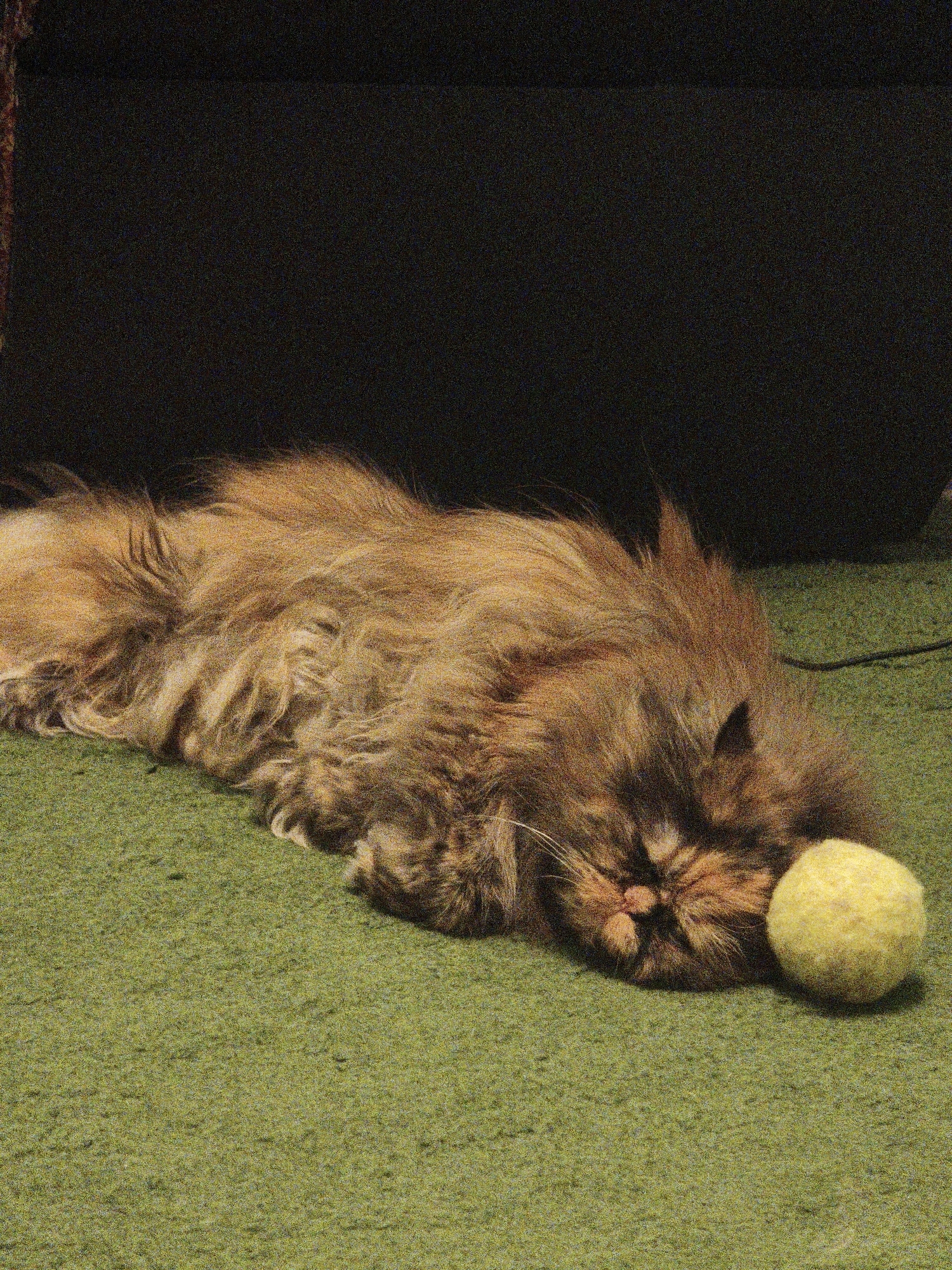 A long-haired brown cat is lying on a green carpet with its head resting on a yellow ball. The cat's eyes are closed and it appears to be sleeping. The cat's fur is long and fluffy, with patches of darker brown and lighter brown. The yellow ball is fuzzy and slightly larger than the cat's head. The background is dark and blurred, with a hint of a black object that could be furniture. The image has a grainy texture, suggesting it may have been taken with low light or an older camera.