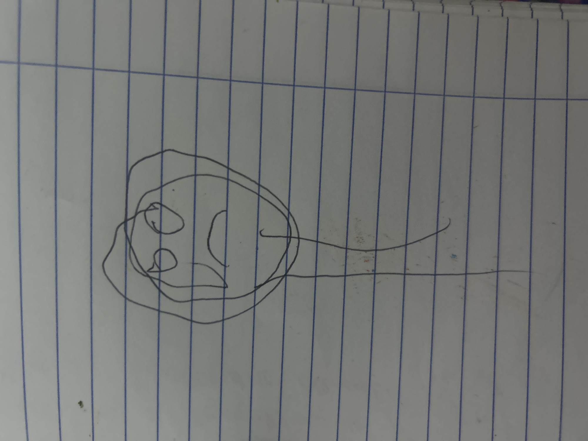 A simple line drawing on lined paper depicts what appears to be a sperm cell. The location of the image is impossible to ascertain from the available visual data. The surrounding environment is just lined paper. There is no information to indicate that the image has any connection to the city of San Juan de Los Morros, Venezuela, or anything to identify subjects, actions, or interactions.