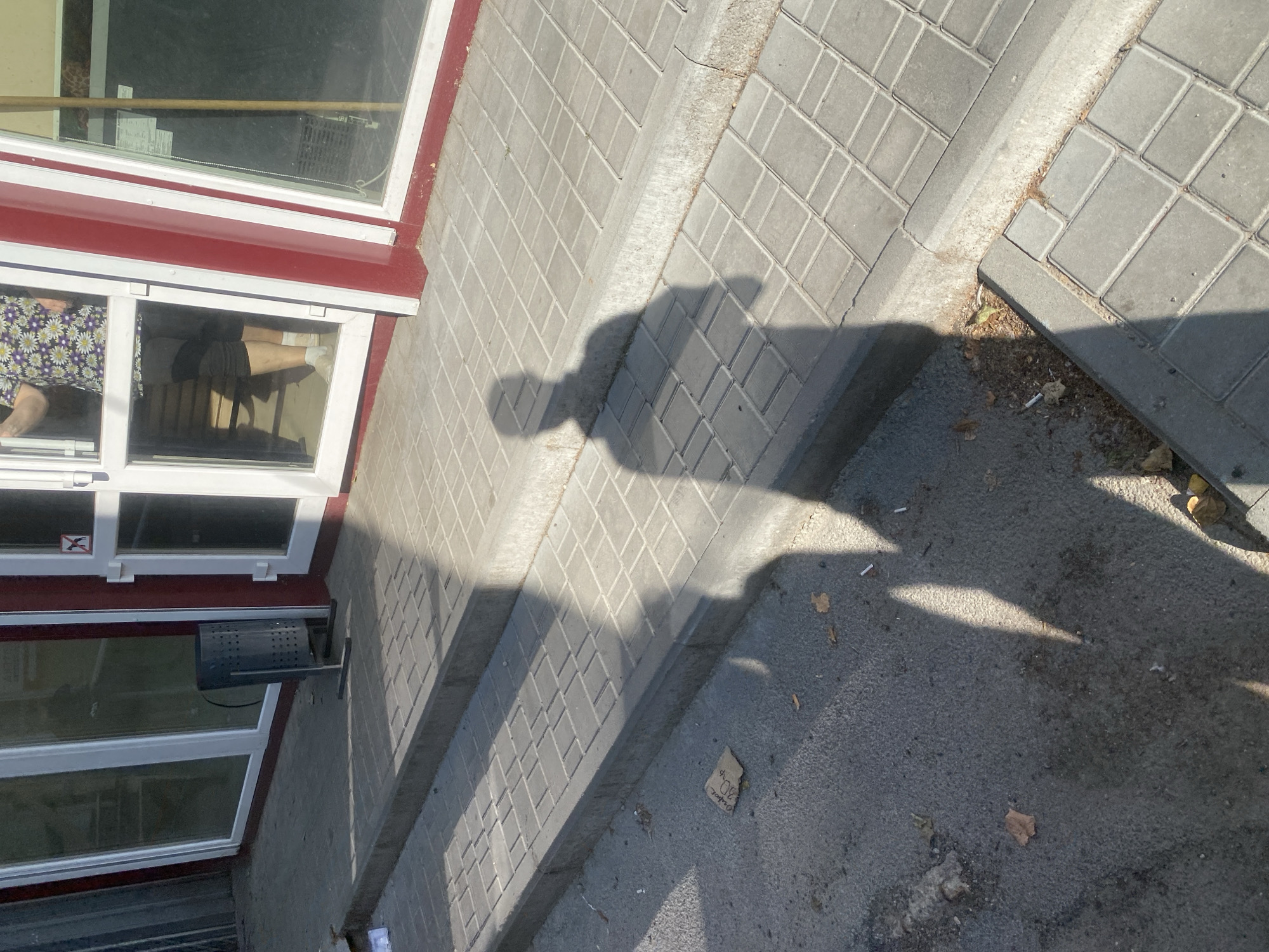 The image captures an outdoor scene in front of a building with large glass windows and red trim. The ground is paved with grey rectangular tiles, with a concrete curb separating a paved area from an asphalt walkway. A set of concrete steps leads up to the entrance of the building.
Two distinct shadows are cast across the scene, indicating the presence of at least two people. One shadow, larger and more defined, stretches across the steps and onto the asphalt. The other, fainter shadow, is partially visible on the asphalt.
In front of the building, to the left, a dark, perforated metal trash bin with a stand is visible. Inside the building, through the glass doors, a person wearing a floral print shirt and dark leggings is partially visible. They are standing with their legs visible and appear to be wearing white socks.
Scattered on the asphalt are a few fallen leaves and cigarette butts. A small piece of cardboard with writing in what appears to be Cyrillic script is also present on the asphalt. The lighting suggests it is daytime with the sun casting distinct shadows. This scene is located in Poltava, Ukraine, outside of a commercial establishment.