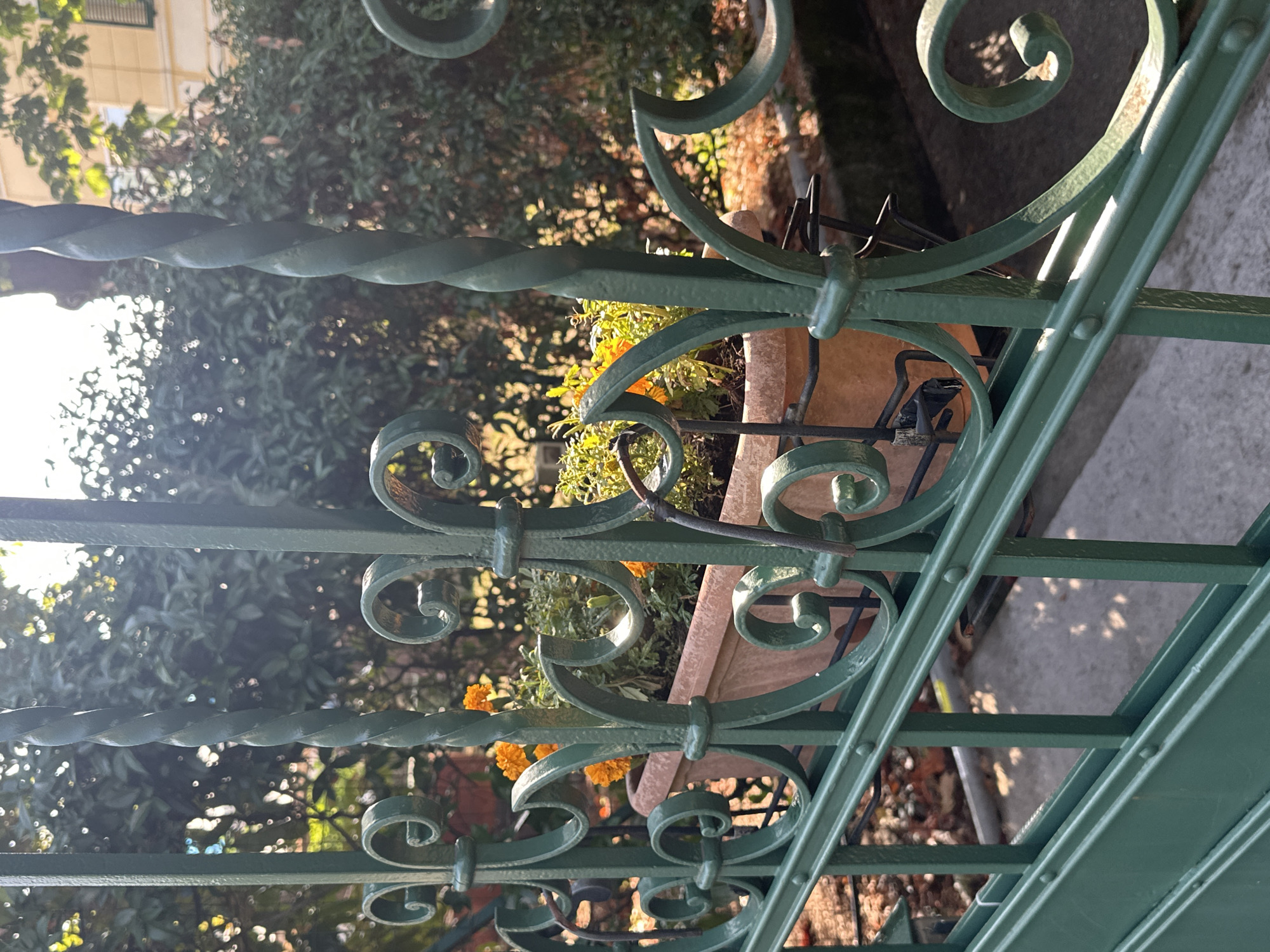 A green, ornate metal gate is in the foreground, with twisted vertical bars and decorative scrolls. Behind the gate, a terracotta planter holds bright orange marigold flowers and green foliage. Sunlight filters through lush green trees in the background, casting dappled shadows. To the right, a building with yellow walls and a window with green shutters is visible. The scene is set on a sunny day, with the overall impression of a well-maintained garden or courtyard in Trieste, Italy.